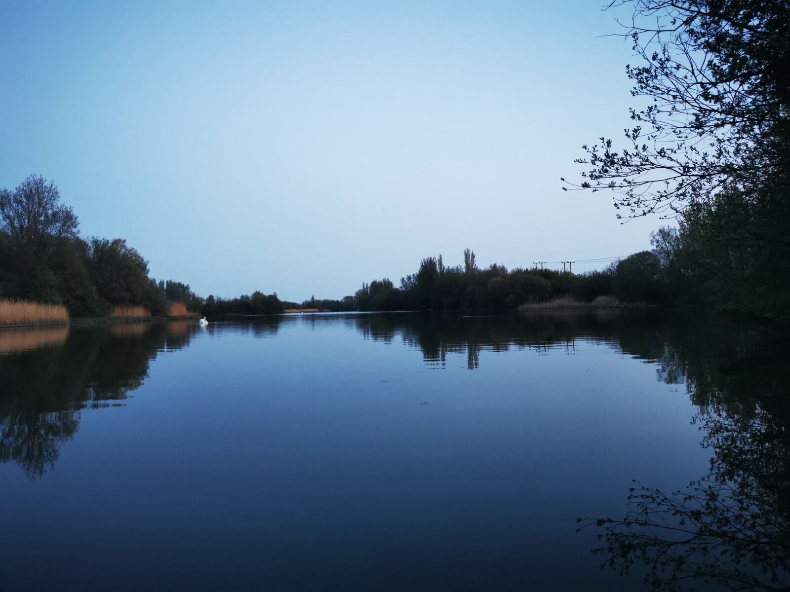 HUAWEI P30 Pro sample photo. Lake, langney, walk photography