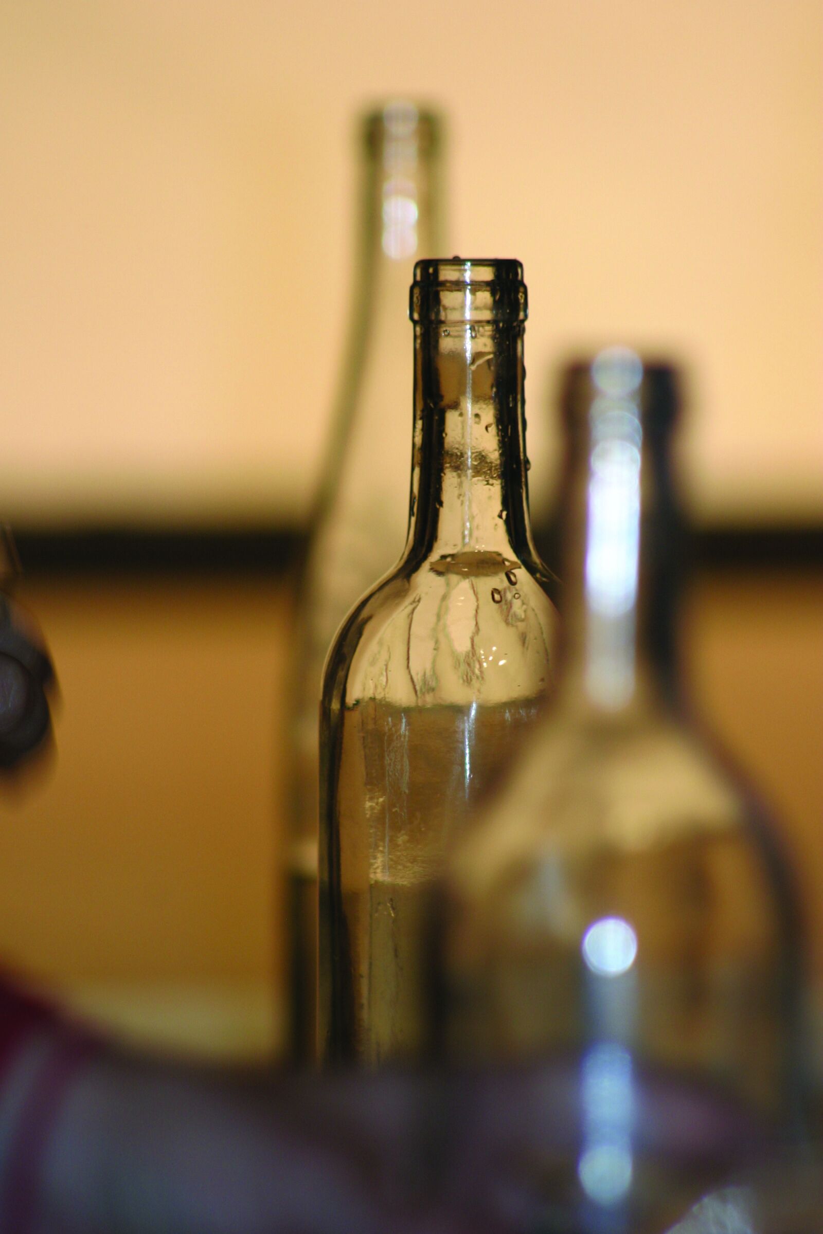 Canon EOS 10D sample photo. Wine, drink, beverage photography