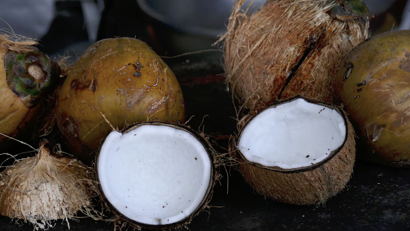 Panasonic Lumix DMC-FZ1000 sample photo. Palma, coconut, tree photography