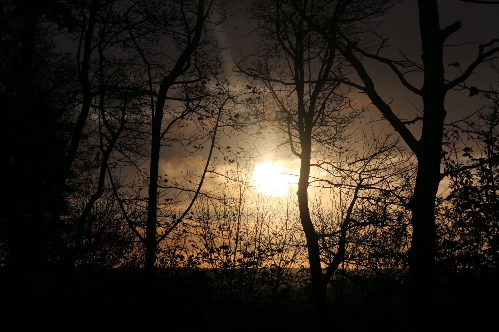 Canon EOS 70D sample photo. Landscape, sun, sunset photography