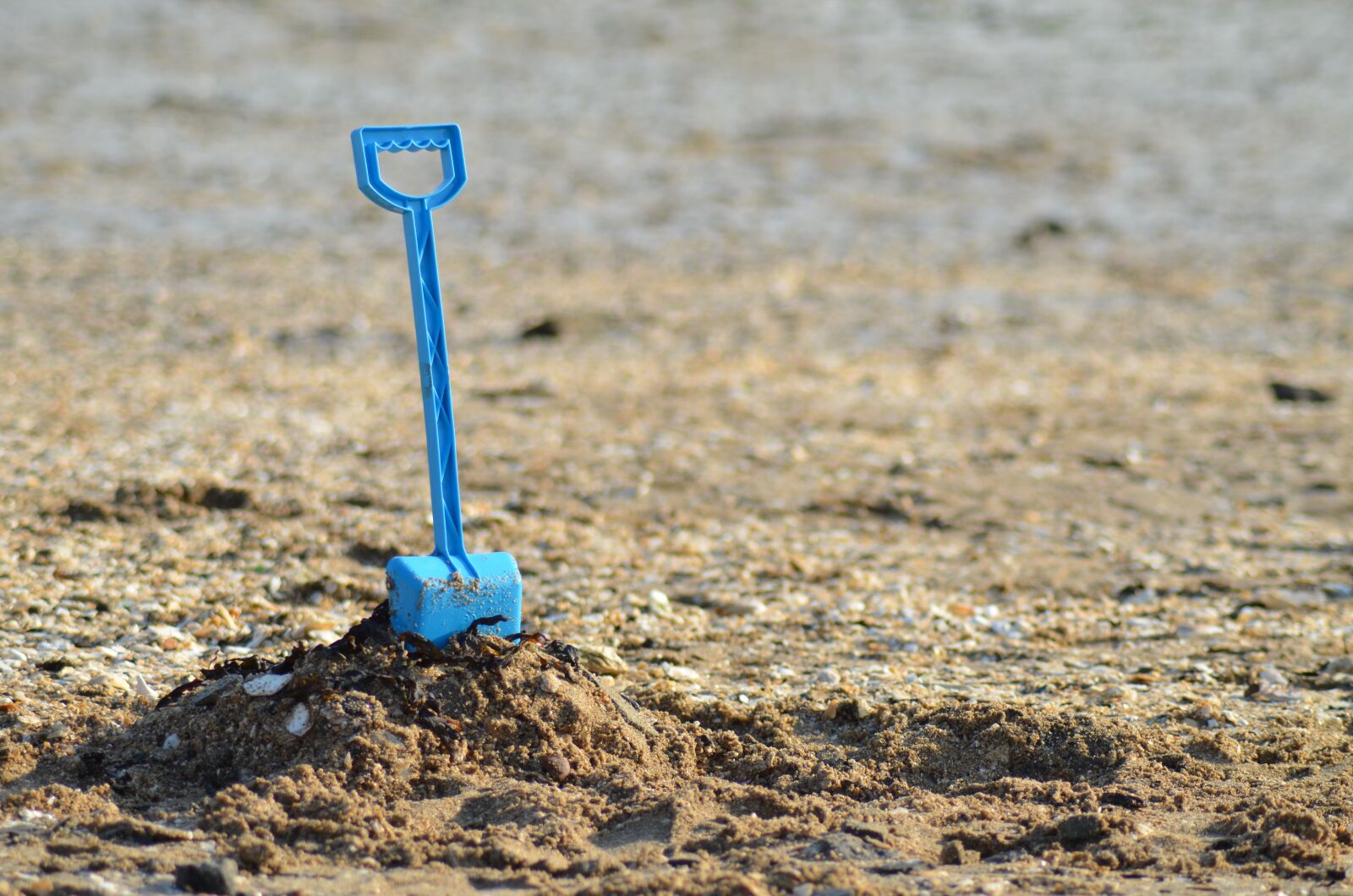 Nikon D5100 sample photo. Shovel, sand, sea photography