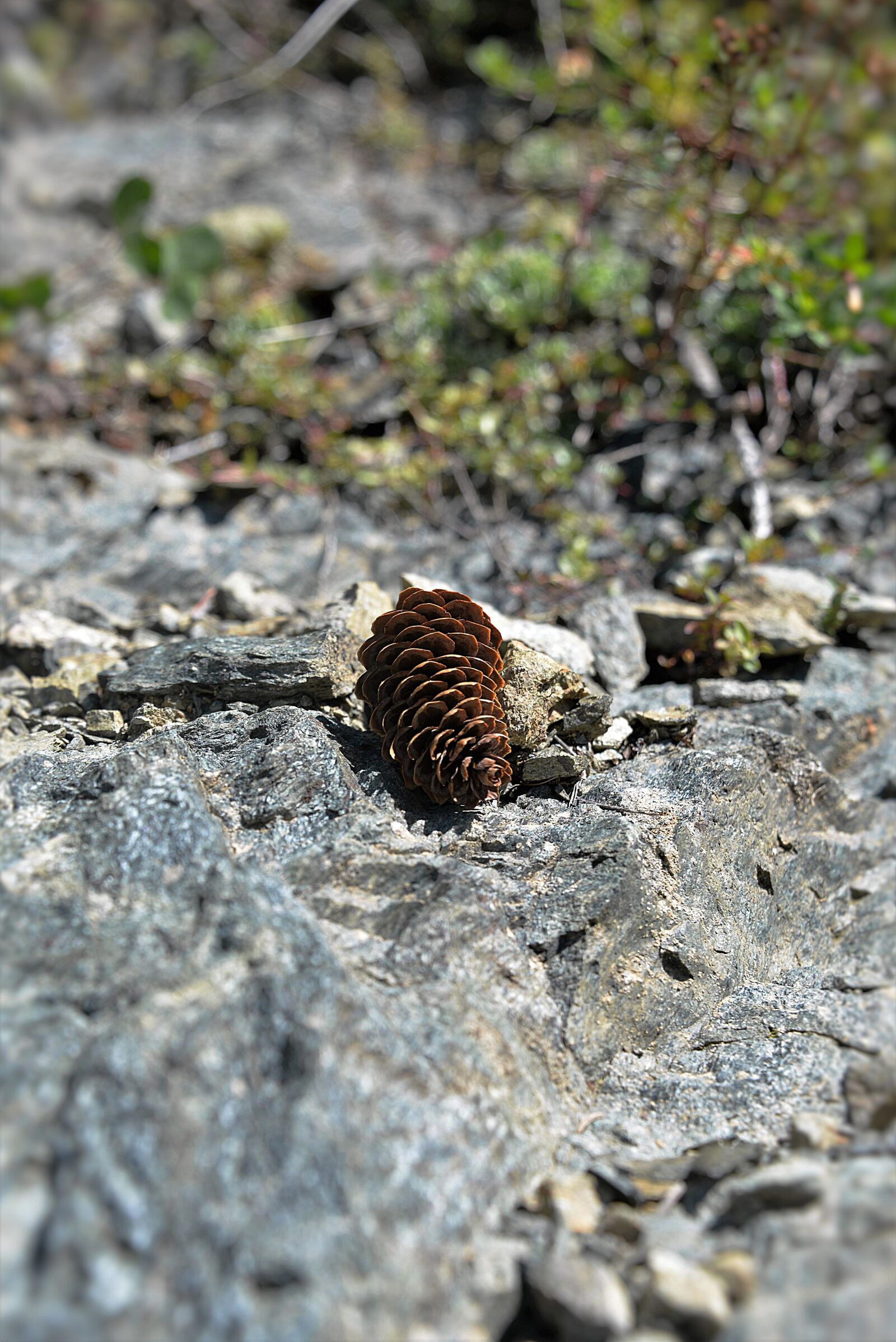 Nikon D610 sample photo. Tap, stones, close up photography