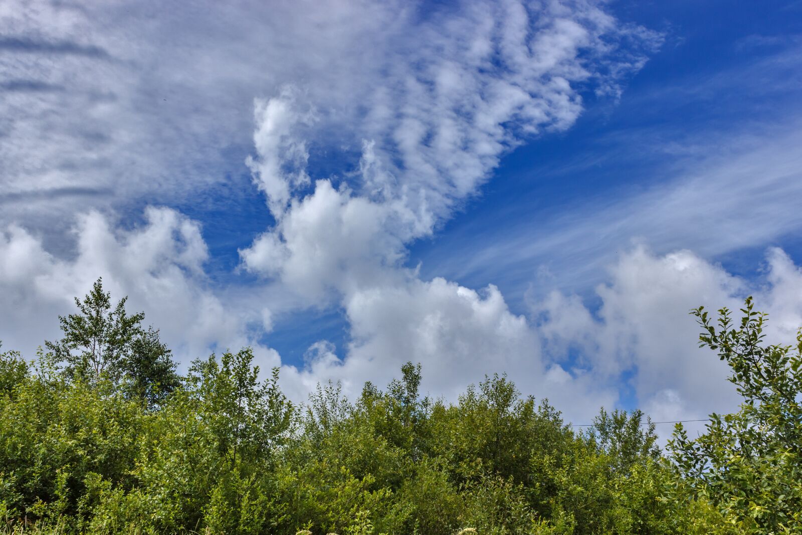 Canon EOS 600D (Rebel EOS T3i / EOS Kiss X5) sample photo. Sky, clouds, cumulus photography