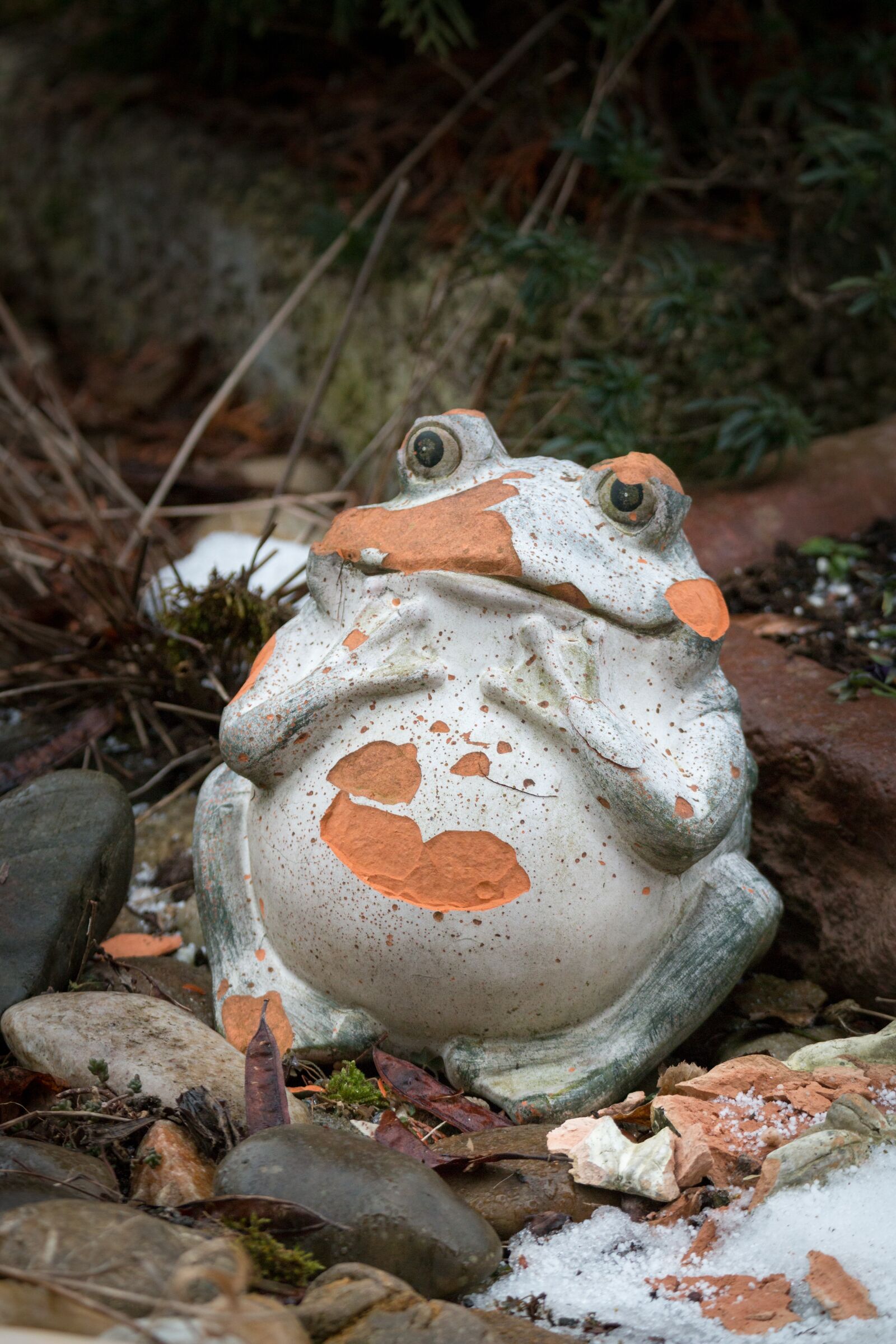 Tamron SP 150-600mm F5-6.3 Di VC USD sample photo. Winter, frog, figure photography