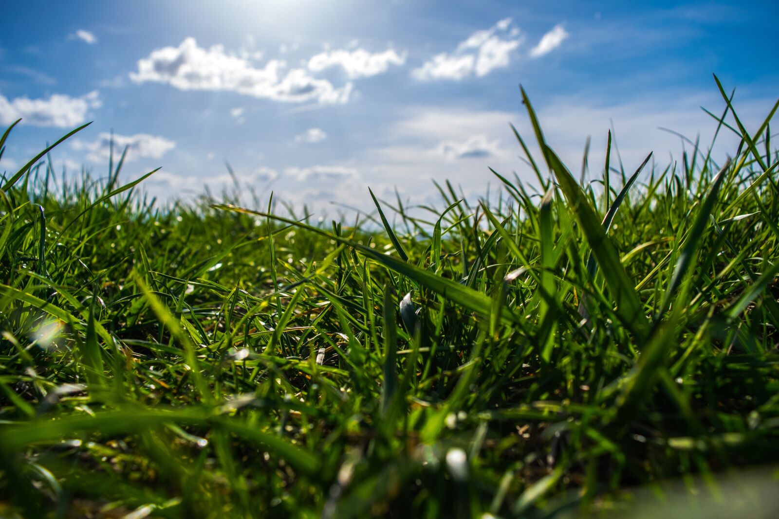 Nikon D3300 sample photo. Trav, sky, heaven photography