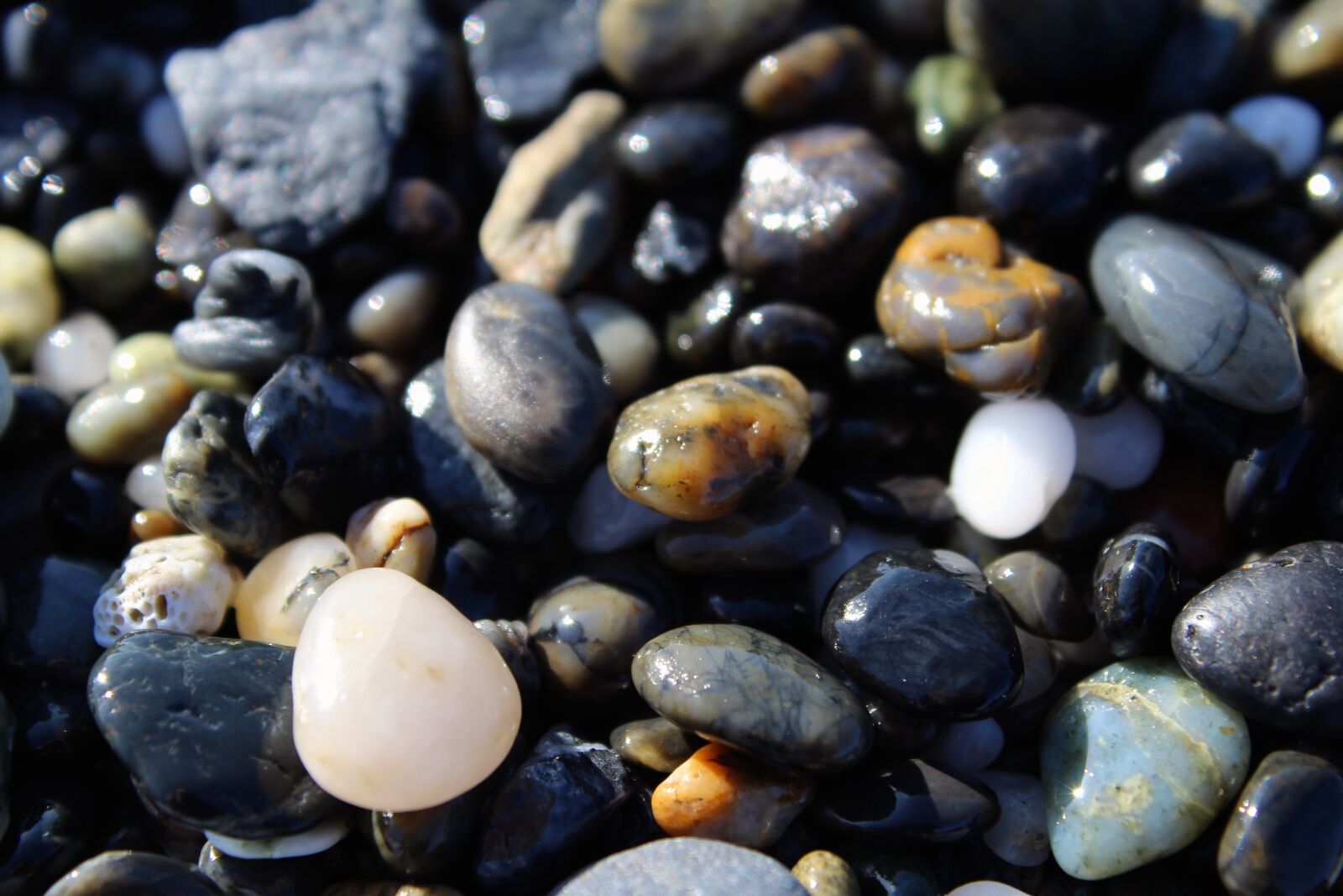 Canon EOS 1200D (EOS Rebel T5 / EOS Kiss X70 / EOS Hi) sample photo. Pebble, stone, rock photography