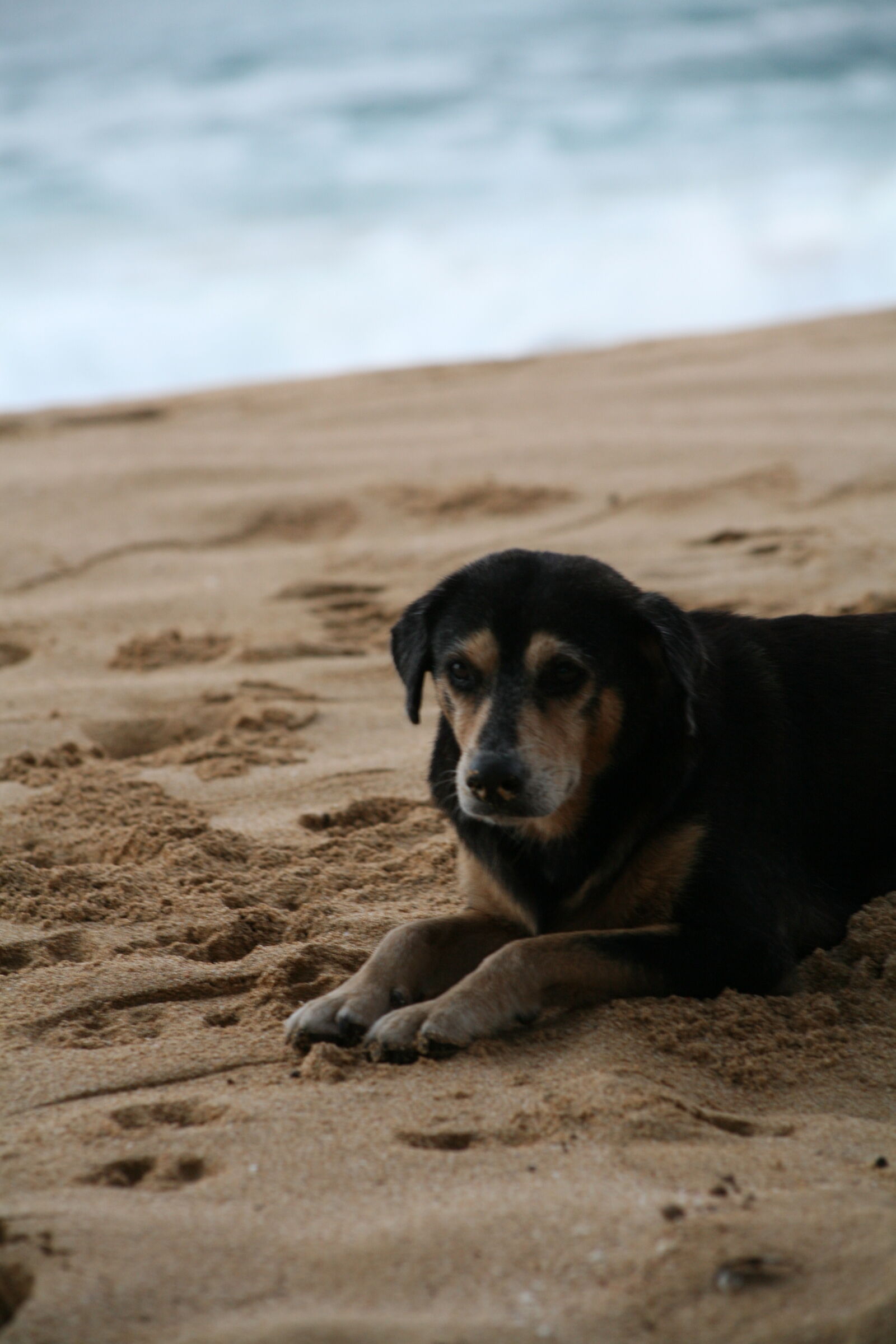 Canon EOS 5D sample photo
