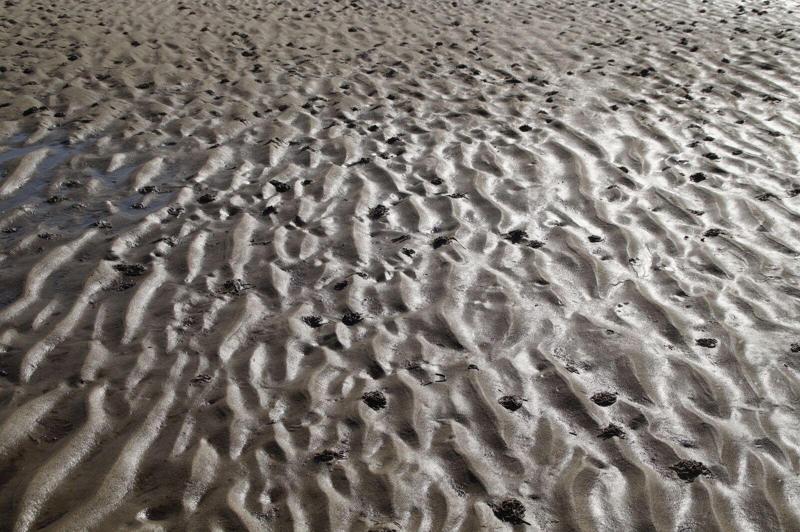 Sony SLT-A58 sample photo. Watts, ebb, north sea photography