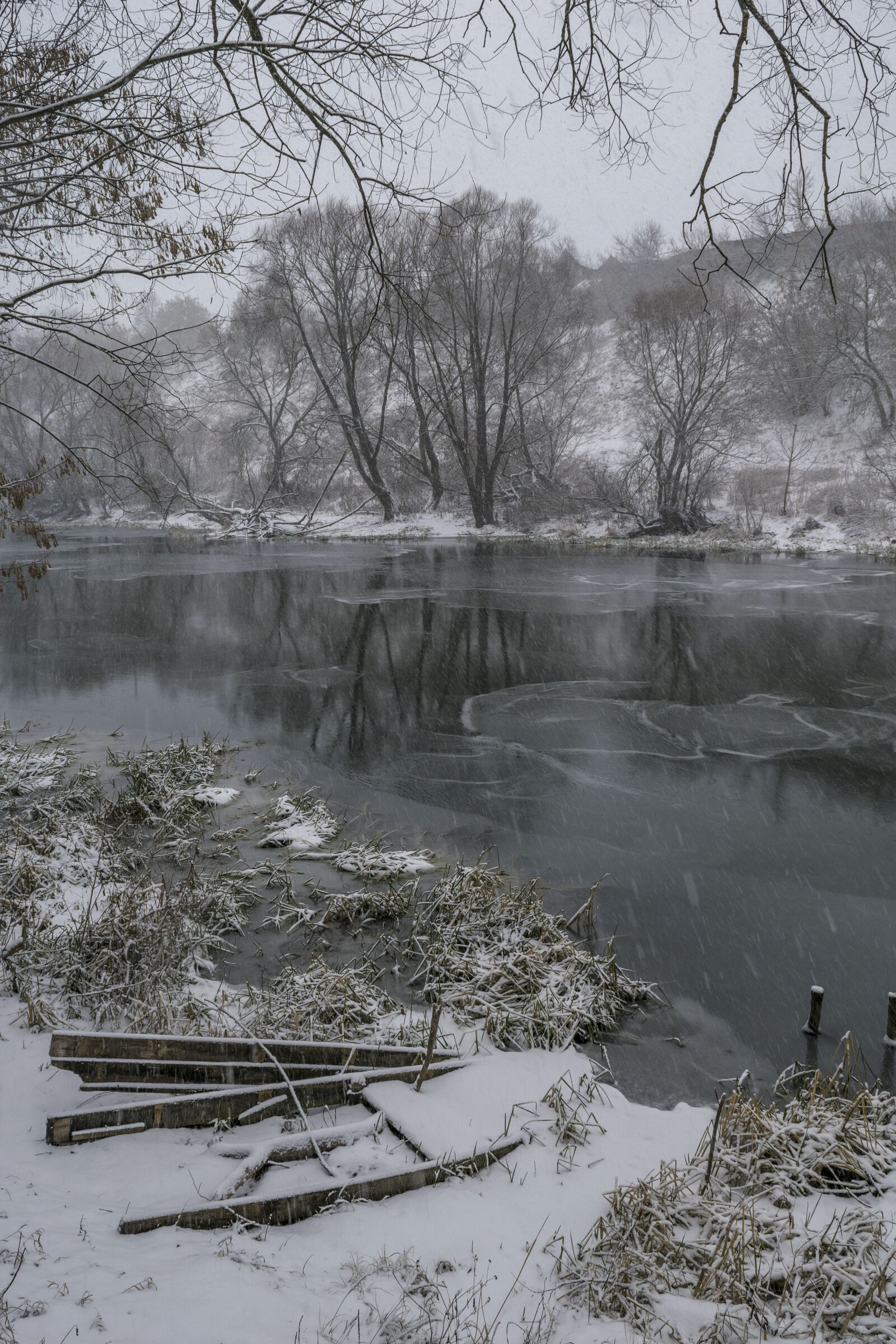 Nikon D3300 sample photo. Winter, snowfall, january photography