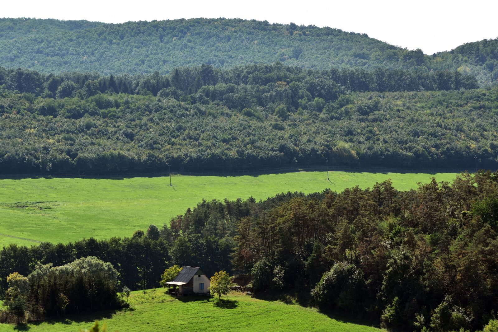 Nikon D3400 sample photo. Landscape, forest, nature photography