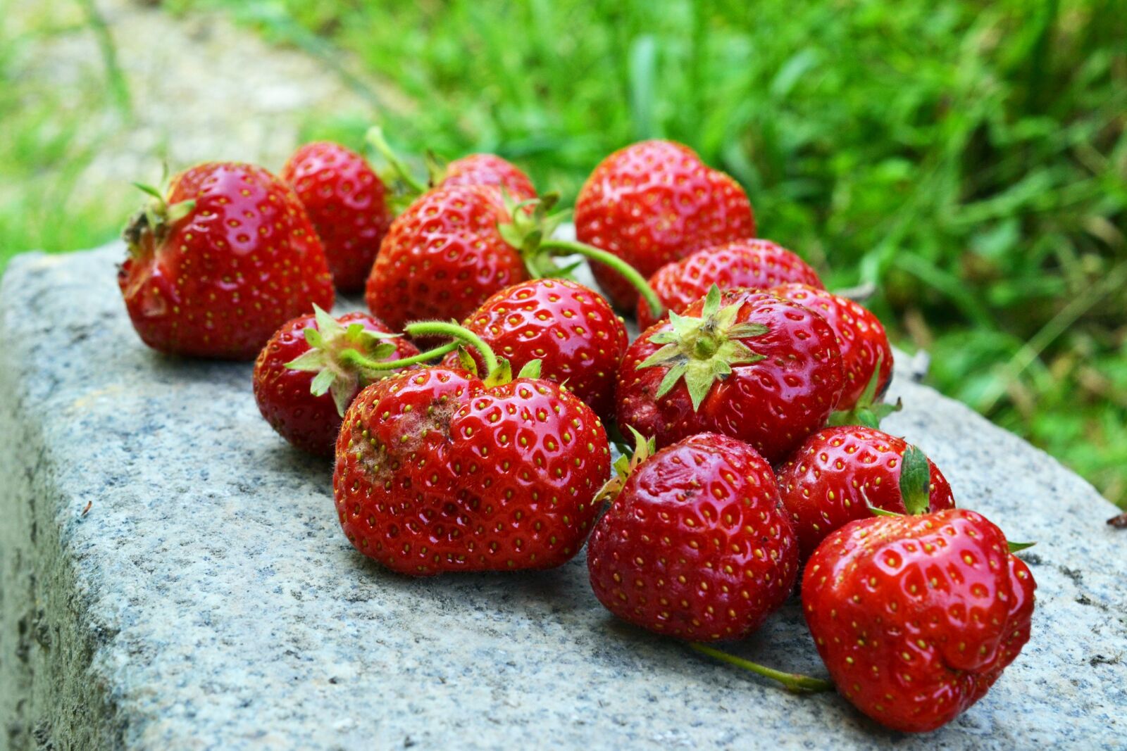 Nikon D3100 sample photo. Strawberries, fruit, red photography