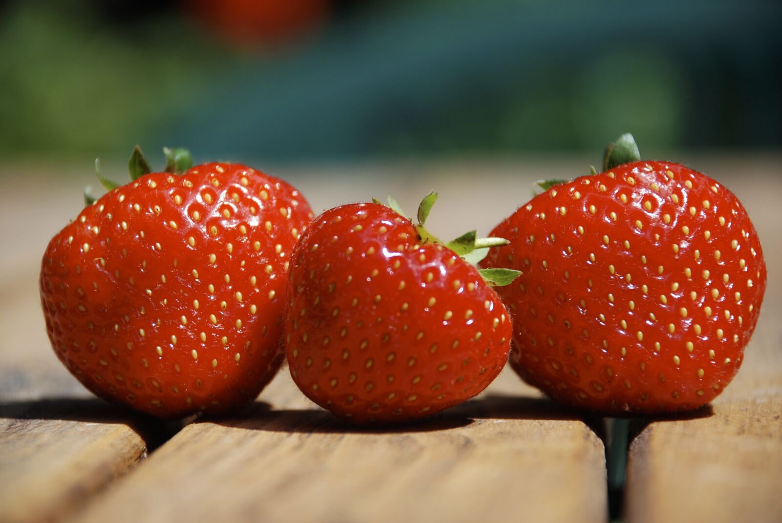 Nikon D80 sample photo. Strawberry, summer, three photography