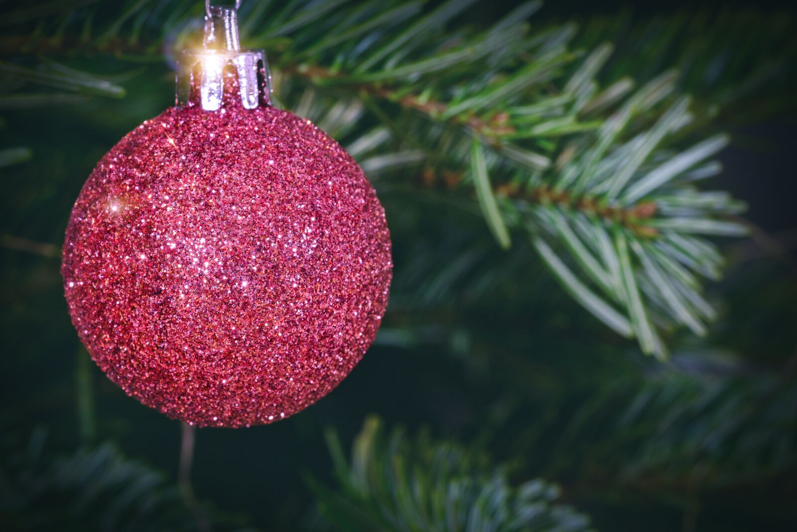 Fujifilm X-T2 + Fujifilm XF 80mm F2.8 R LM OIS WR Macro sample photo. Christmas, christmas time, christmas photography