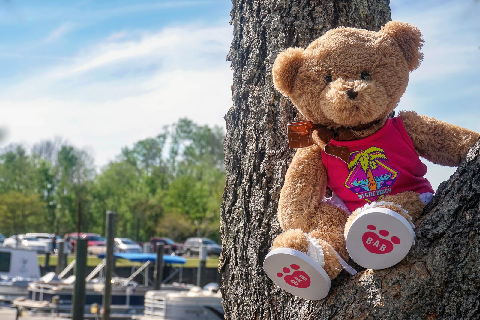 Sony a6300 sample photo. Teddy bear, teddy, bear photography