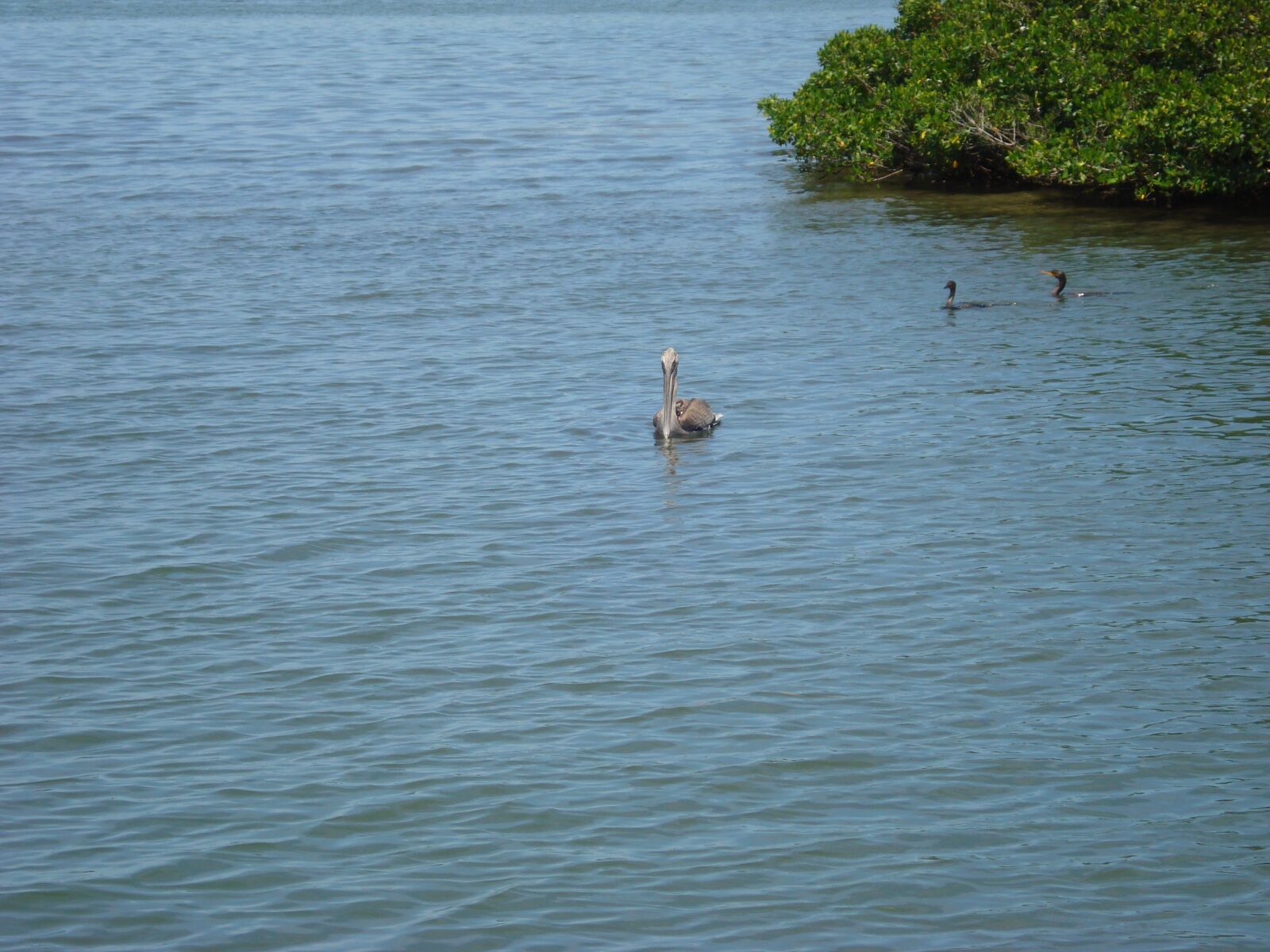 Sony DSC-W55 sample photo. Trinidad, coastal, waters photography