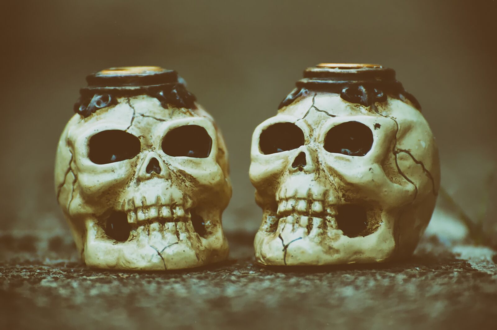Nikon D3200 sample photo. Skull and crossbones, creepy photography