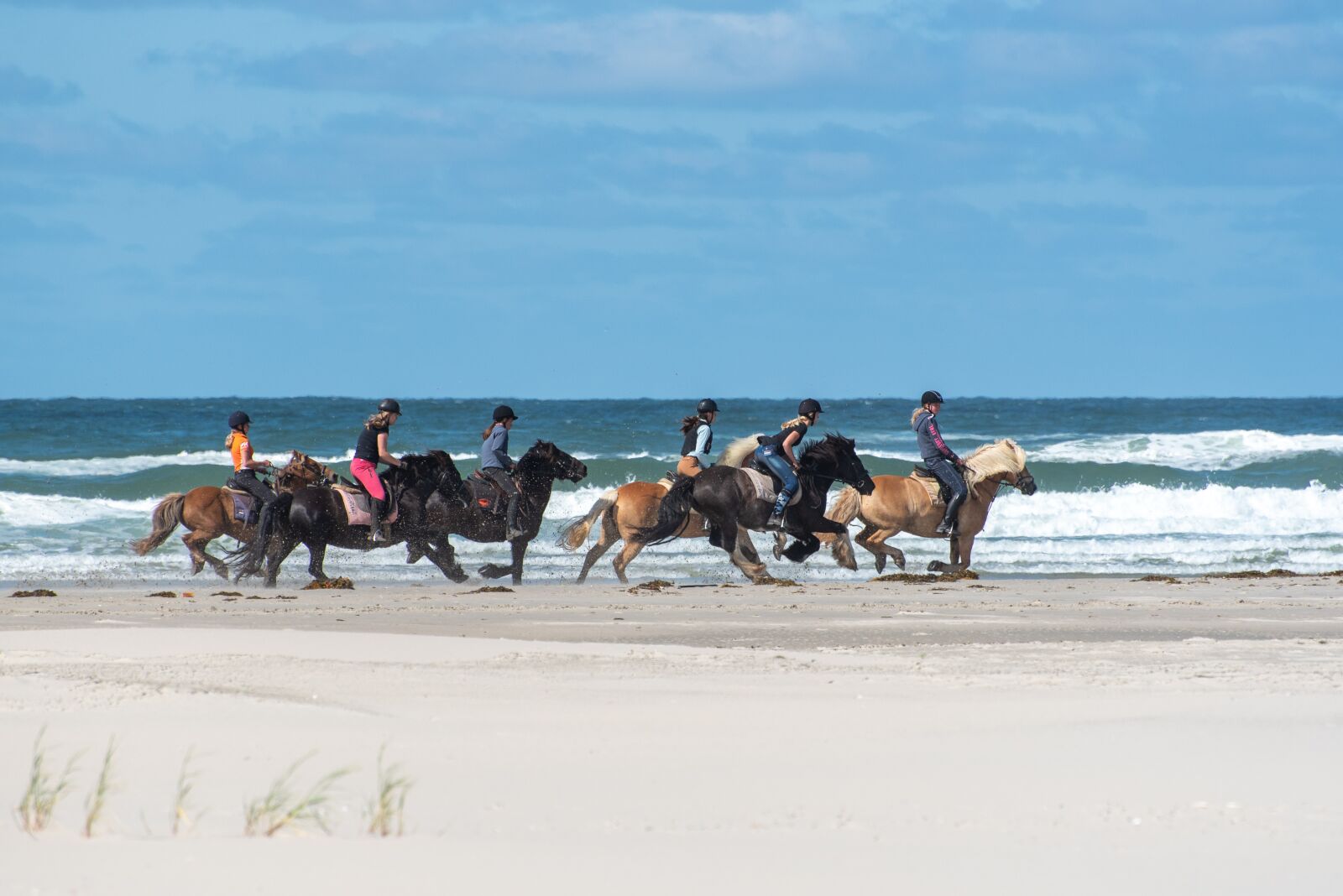 Nikon D750 sample photo. Horses, beach, sand photography