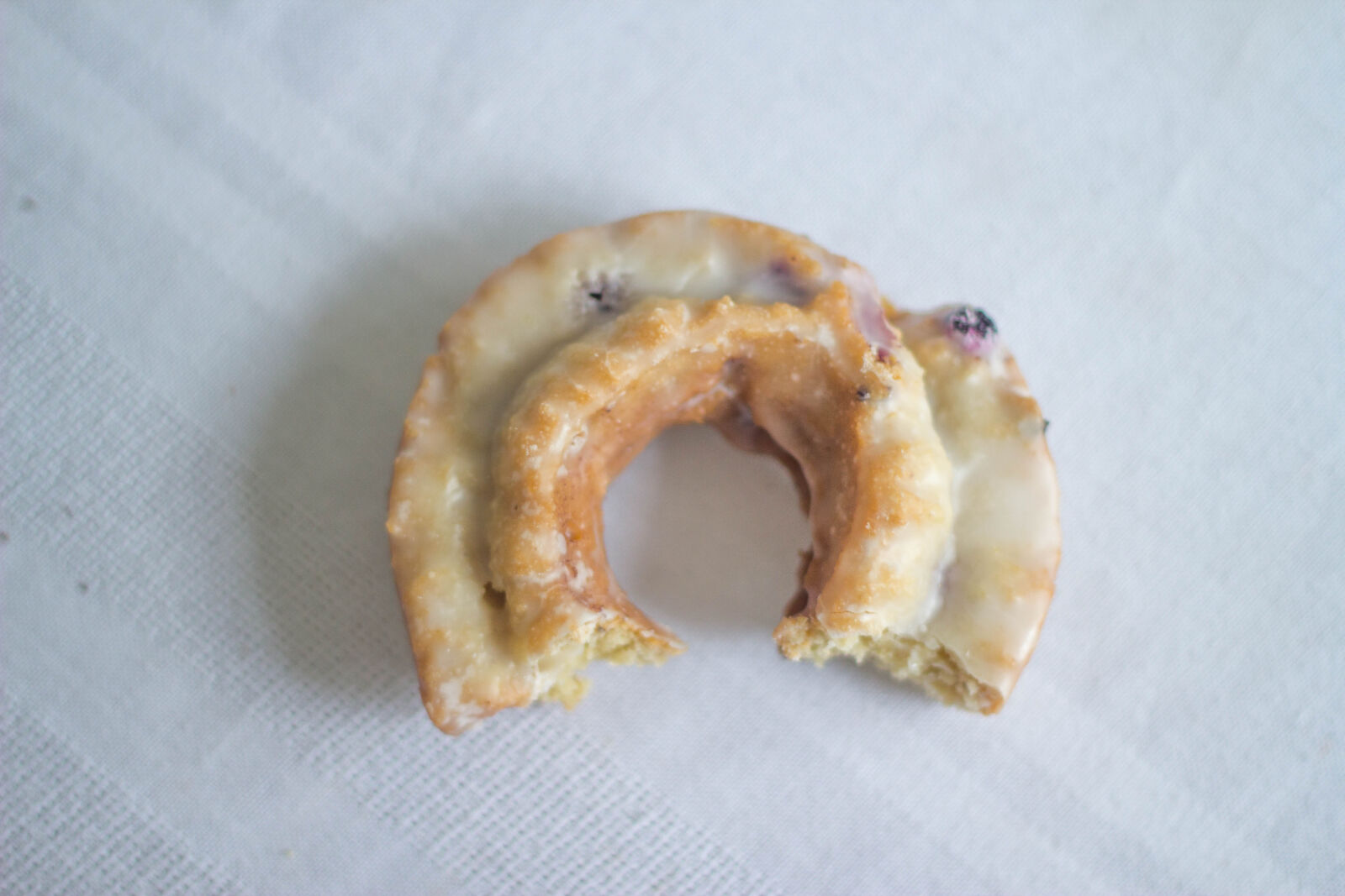 Canon EOS 550D (EOS Rebel T2i / EOS Kiss X4) sample photo. Blueberry, donut photography