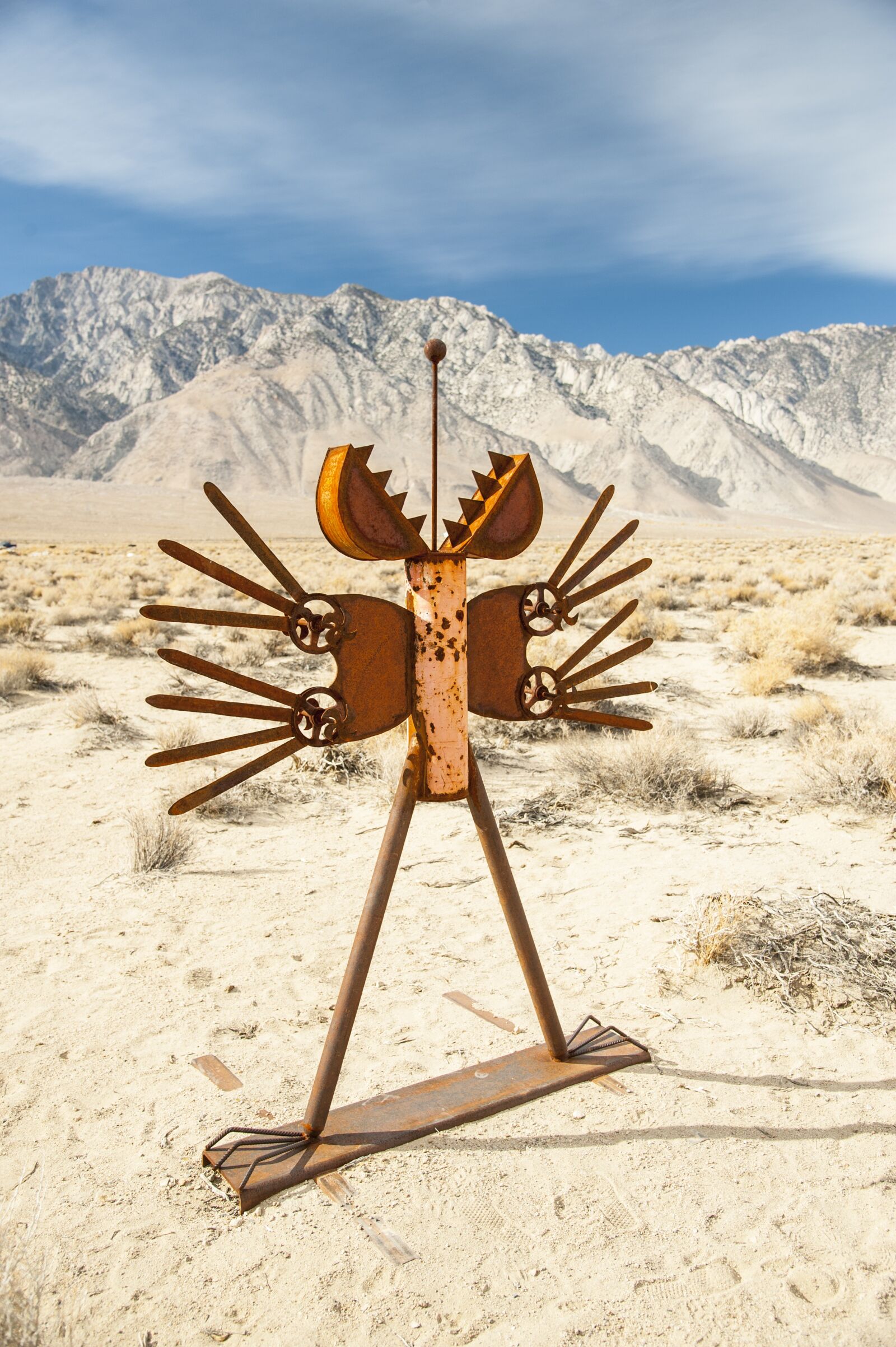Nikon D3 sample photo. Sculpture, desert, statue photography