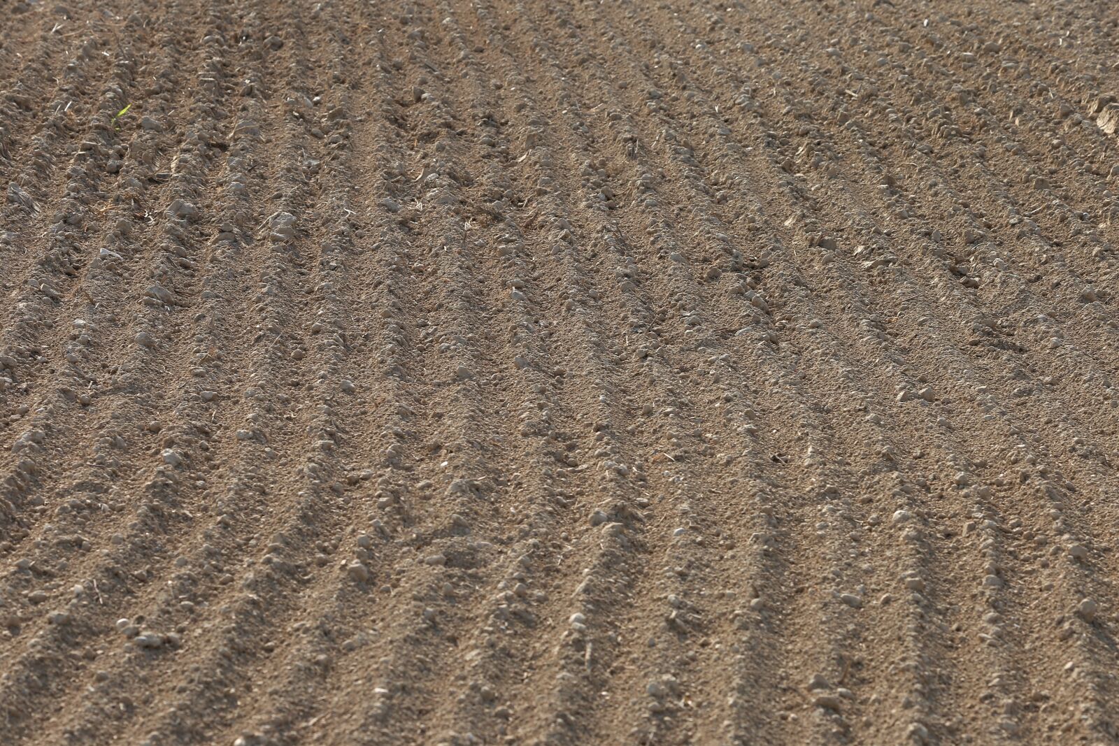 Canon EF 70-300 F4-5.6 IS II USM sample photo. Earth, soil, ground photography