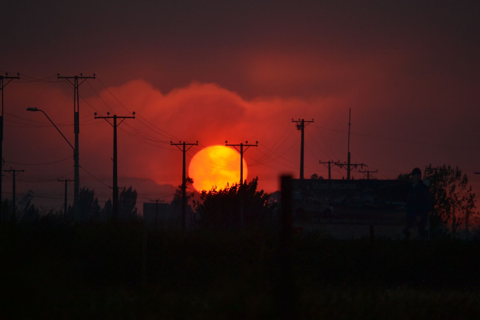 Nikon D3100 sample photo. Sunset, route, sun photography