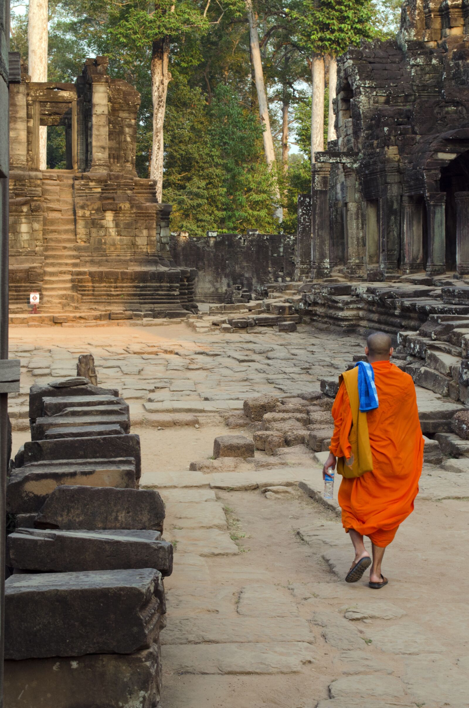 Nikon D5100 sample photo. Monk, orange, walking photography