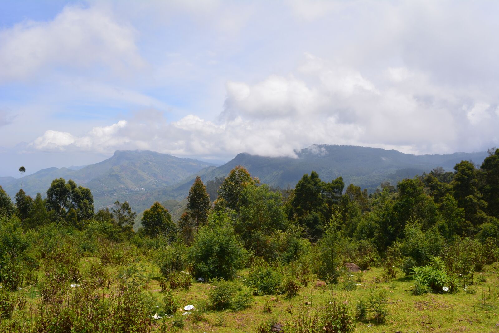 Nikon D5200 sample photo. Kodaikanal, nature, tamilnadu india photography