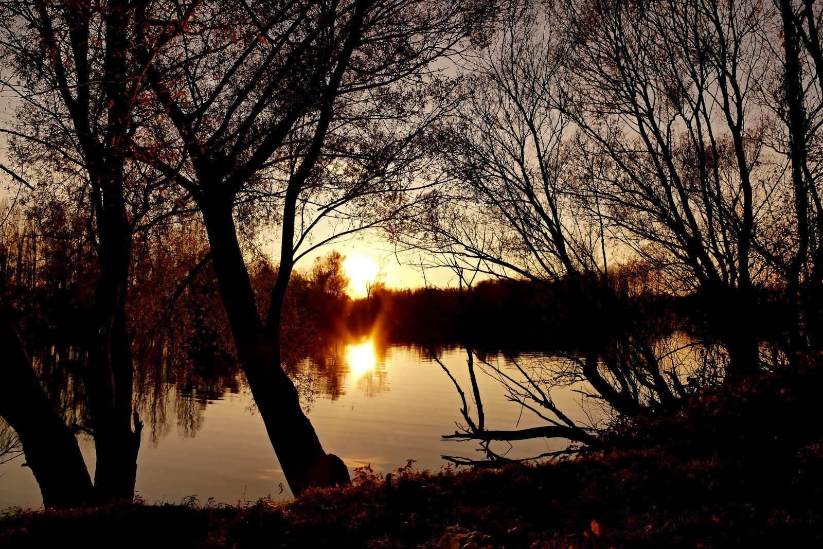 Panasonic Lumix DMC-FZ1000 sample photo. Nature, country, lake photography