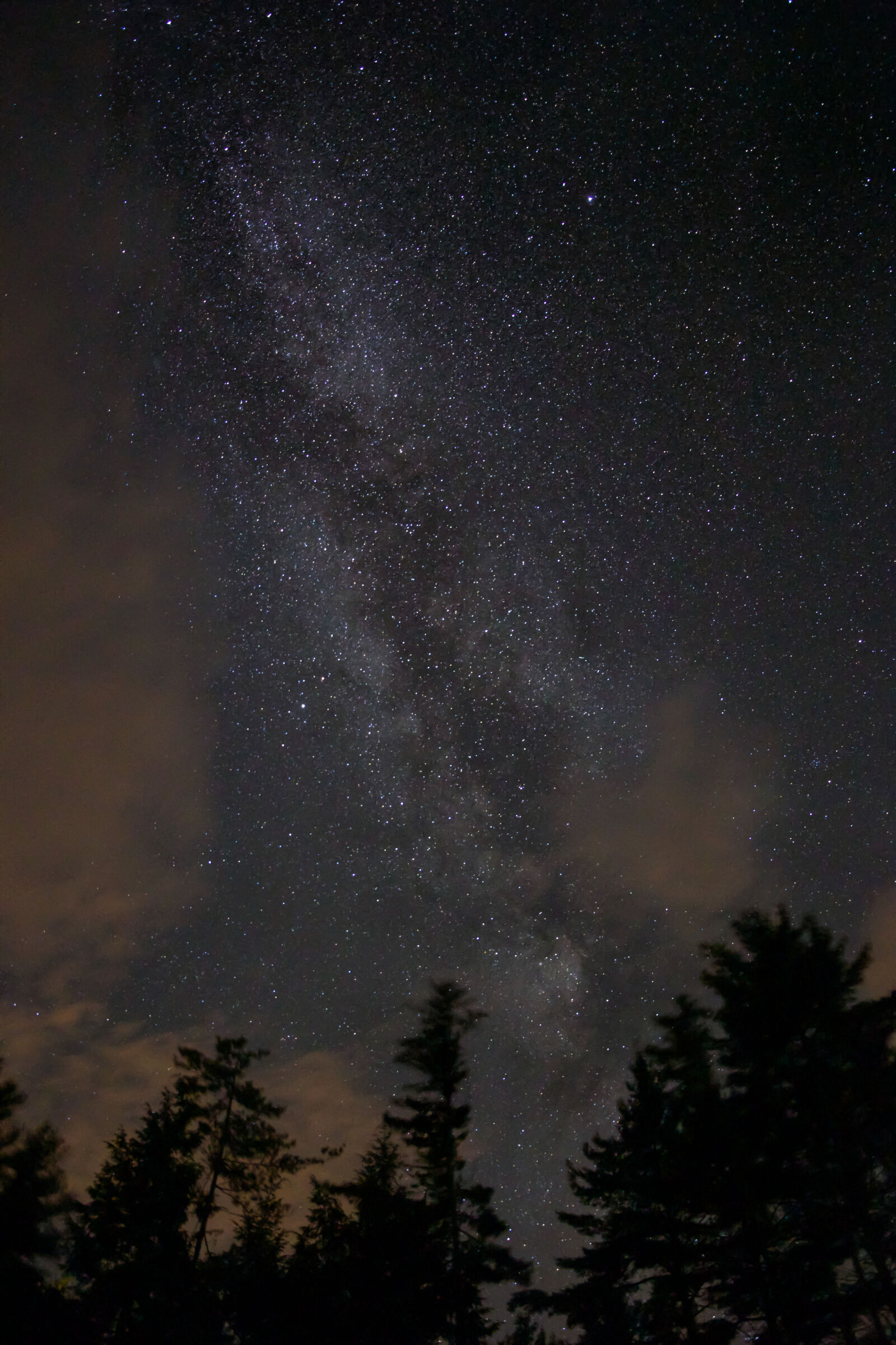 Canon EOS 6D sample photo. Sky, night, trees, stars photography