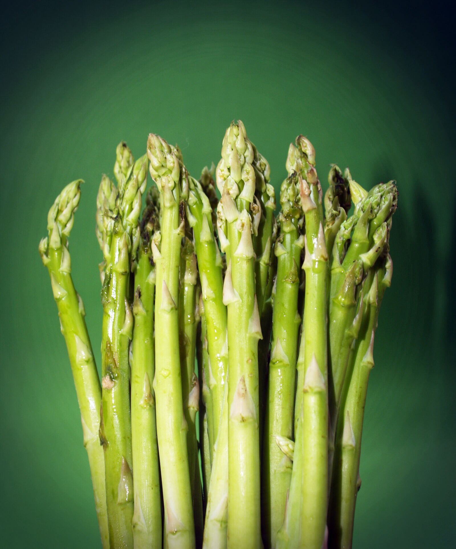 Olympus E-300 (EVOLT E-300) sample photo. Food, asparagus, gourmet photography