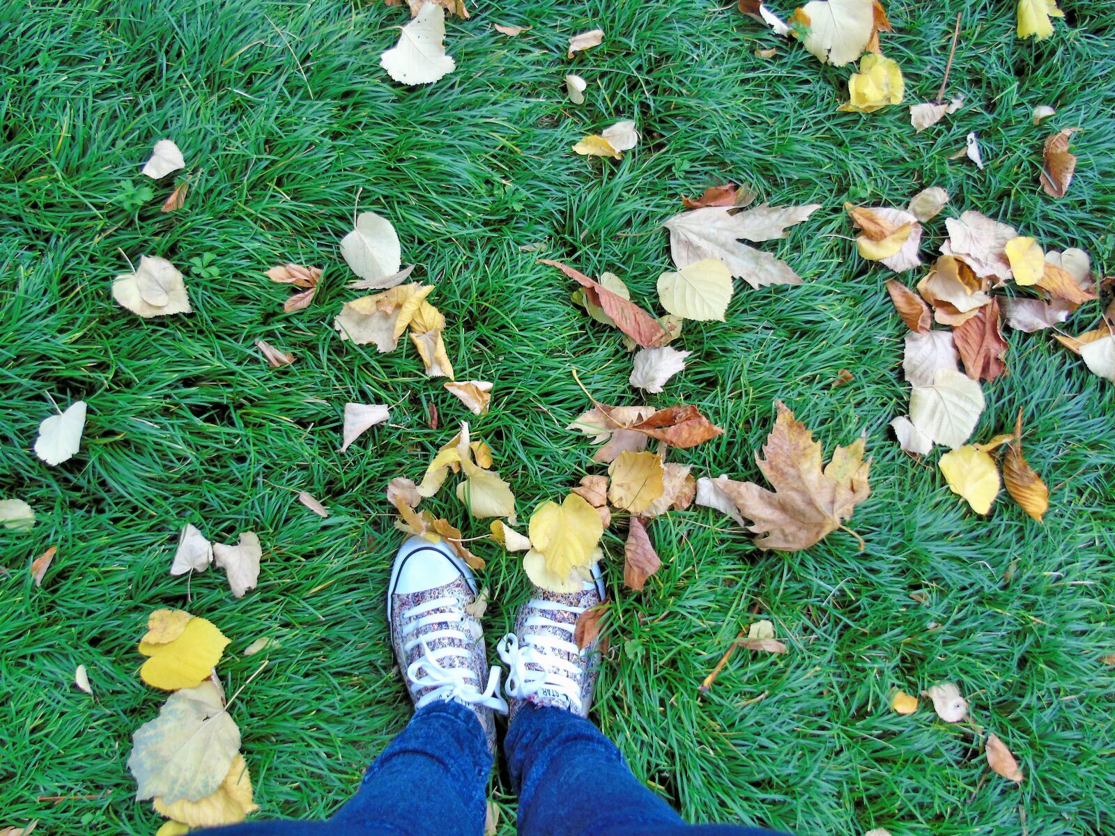 Sony Cyber-shot DSC-H400 sample photo. Feet, autumn, lawn photography