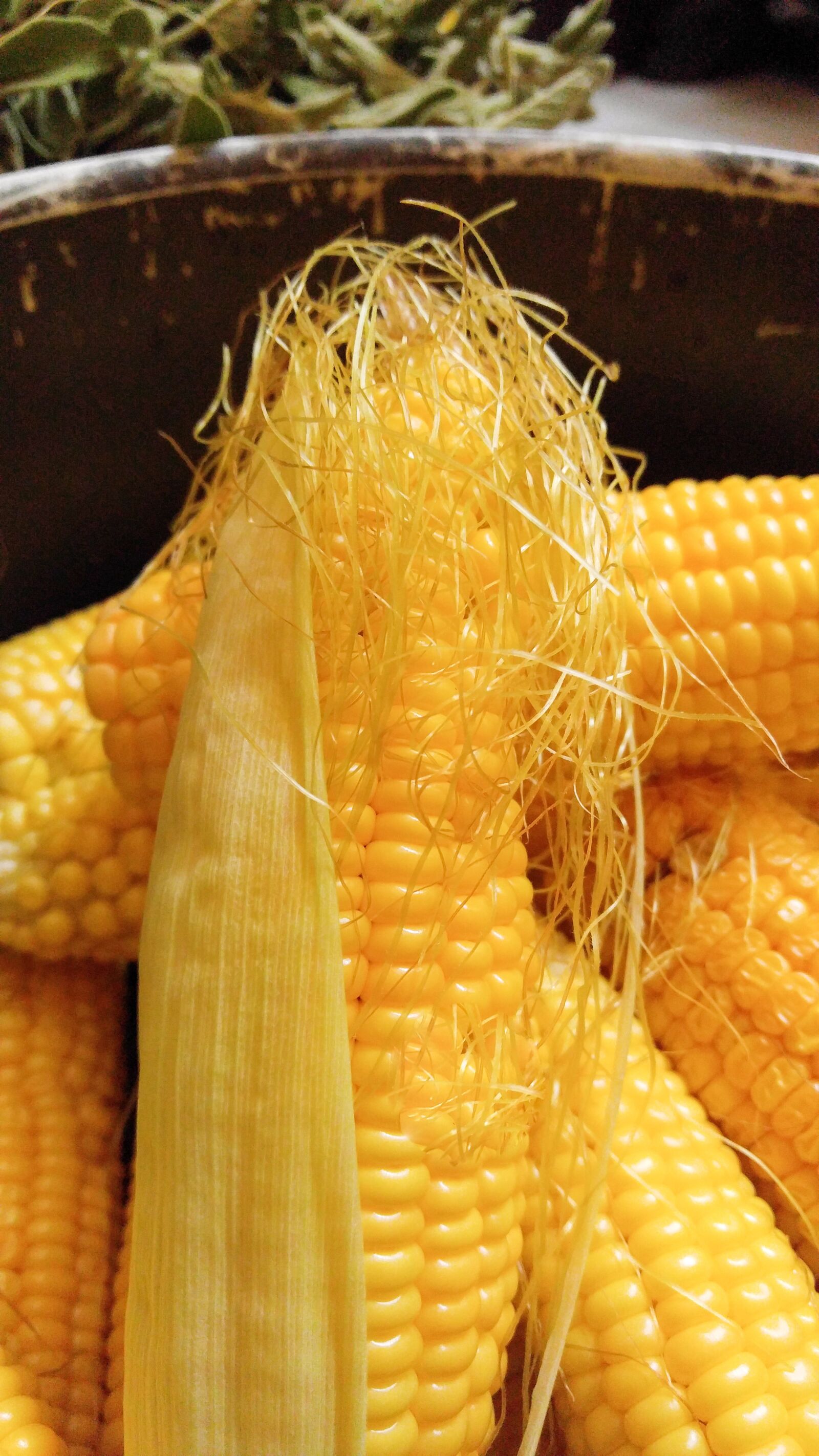 LG V10 sample photo. Corn, hazelnut, food photography