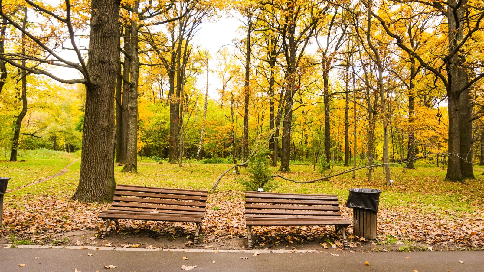 Sony E 16-50mm F3.5-5.6 PZ OSS sample photo. Nature, autumn, leaves photography