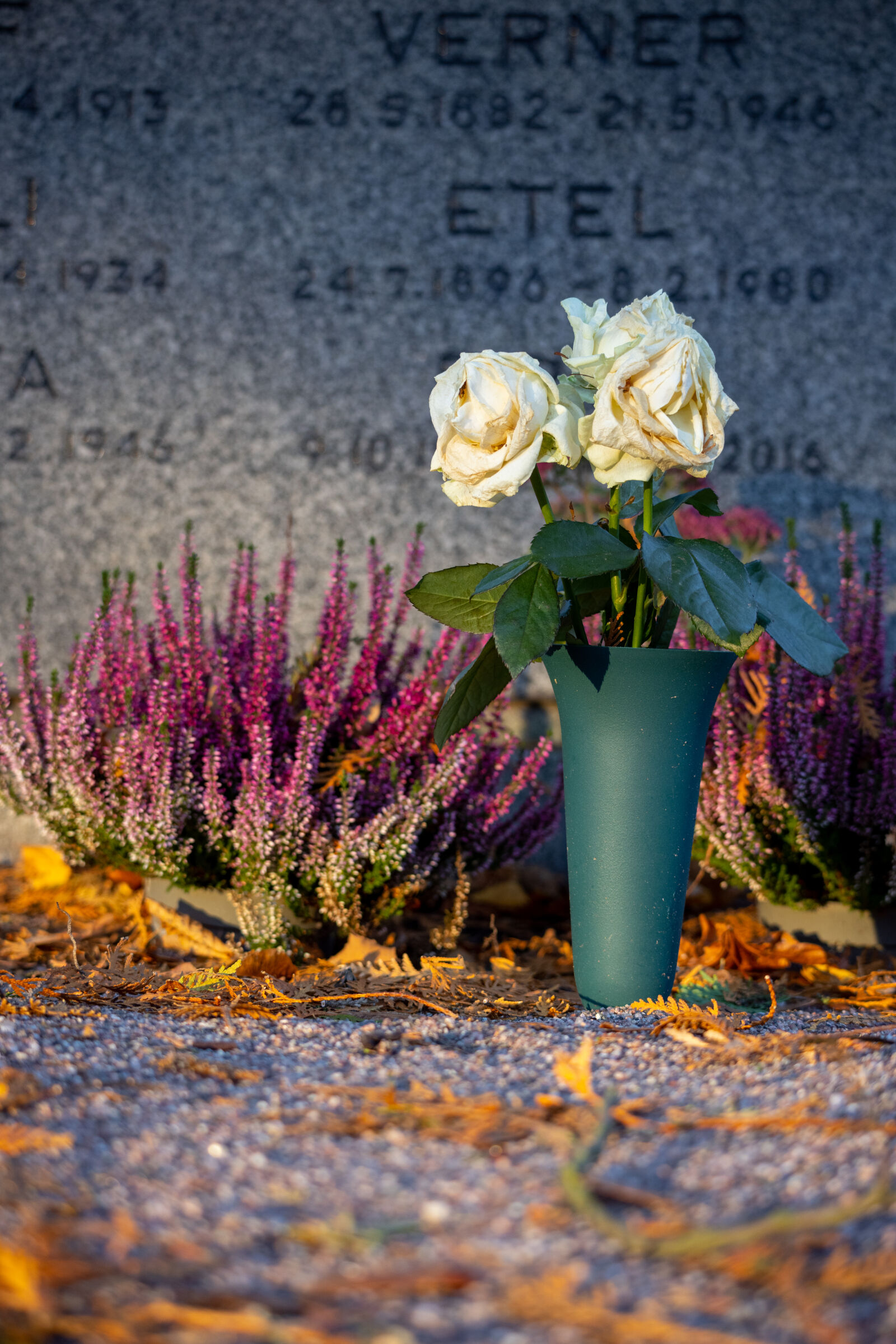 Canon EOS R5 + Canon RF 100-400mm F5.6-8 IS USM sample photo. Cemetery autumn photography