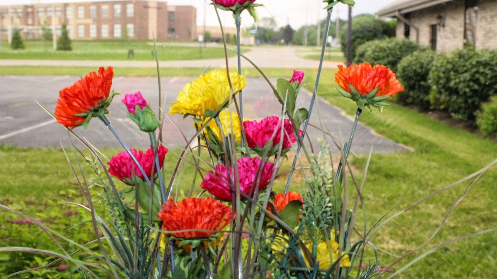 Canon EOS 600D (Rebel EOS T3i / EOS Kiss X5) sample photo. Sorted flowers, window, yard photography