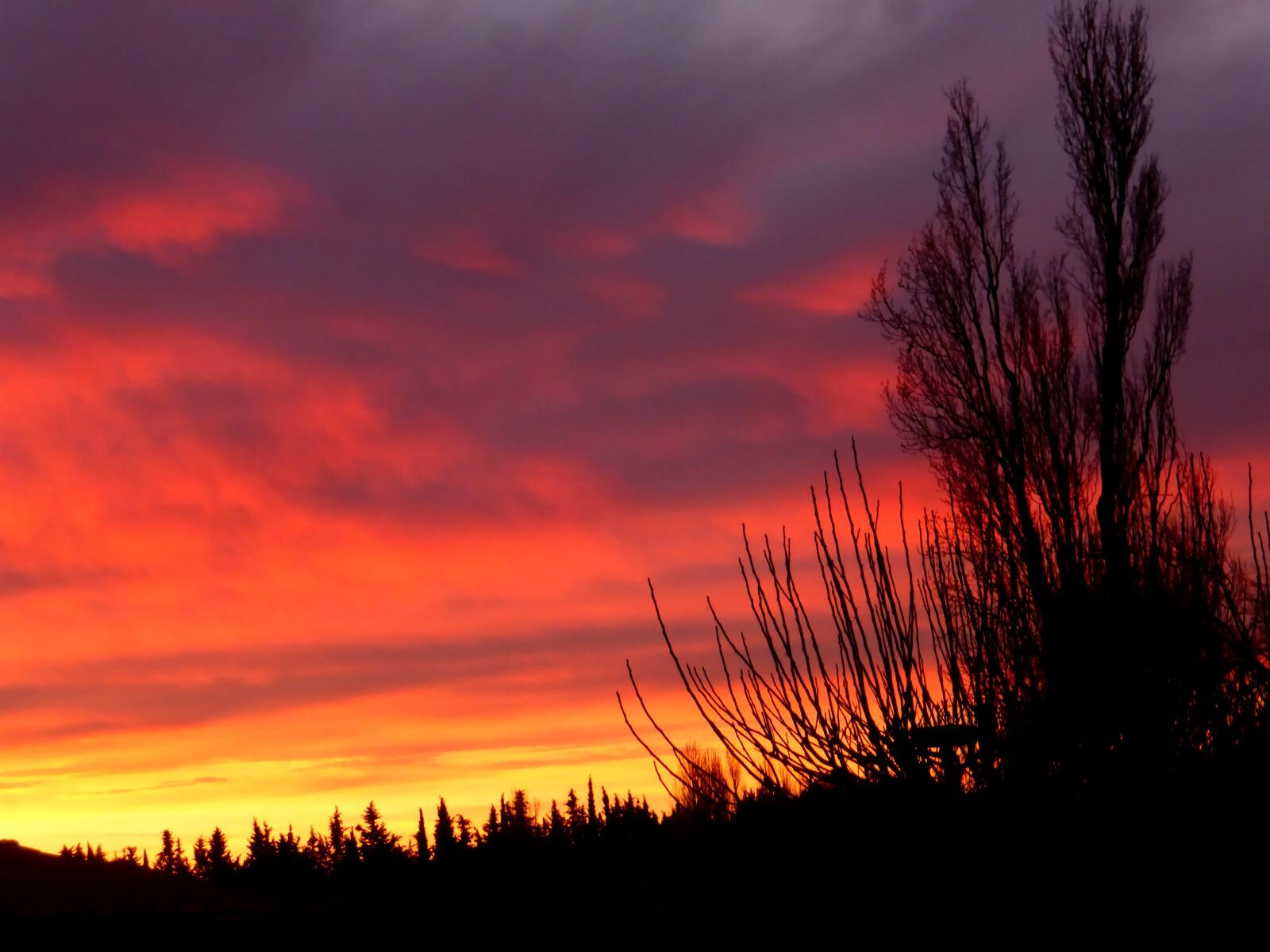 Panasonic Lumix DMC-ZS25 (Lumix DMC-TZ35) sample photo. Sunset, nature, landscape photography