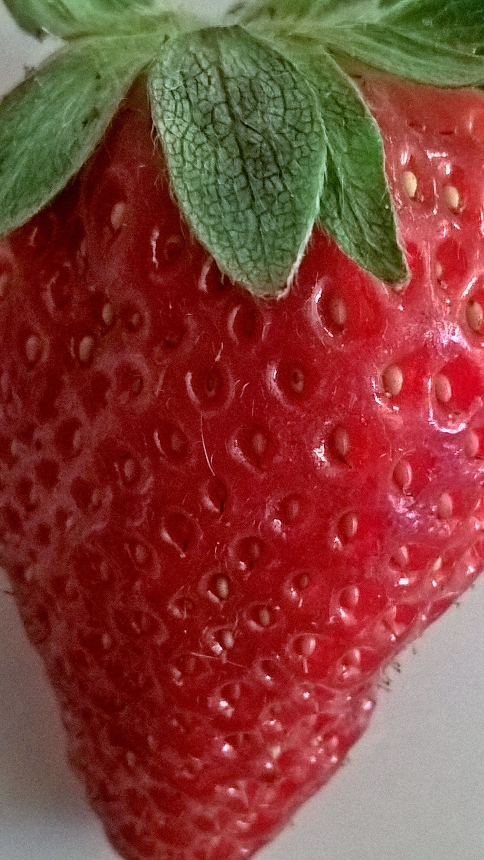Microsoft Lumia 640 LTE Dual SIM sample photo. Strawberry, fruit, delicious photography