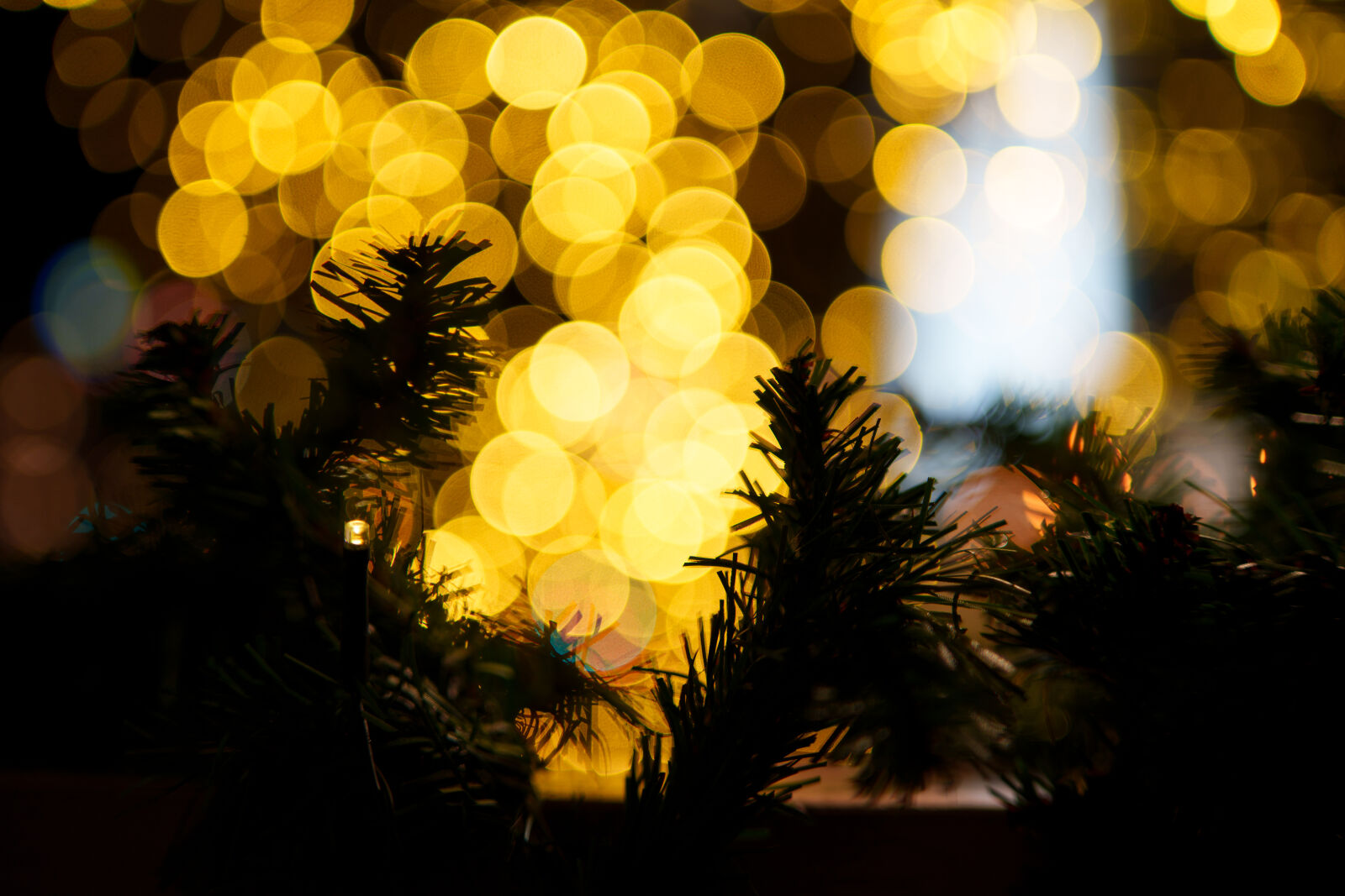 Samyang AF 35mm F1.4 P sample photo. Seasonal bokeh photography