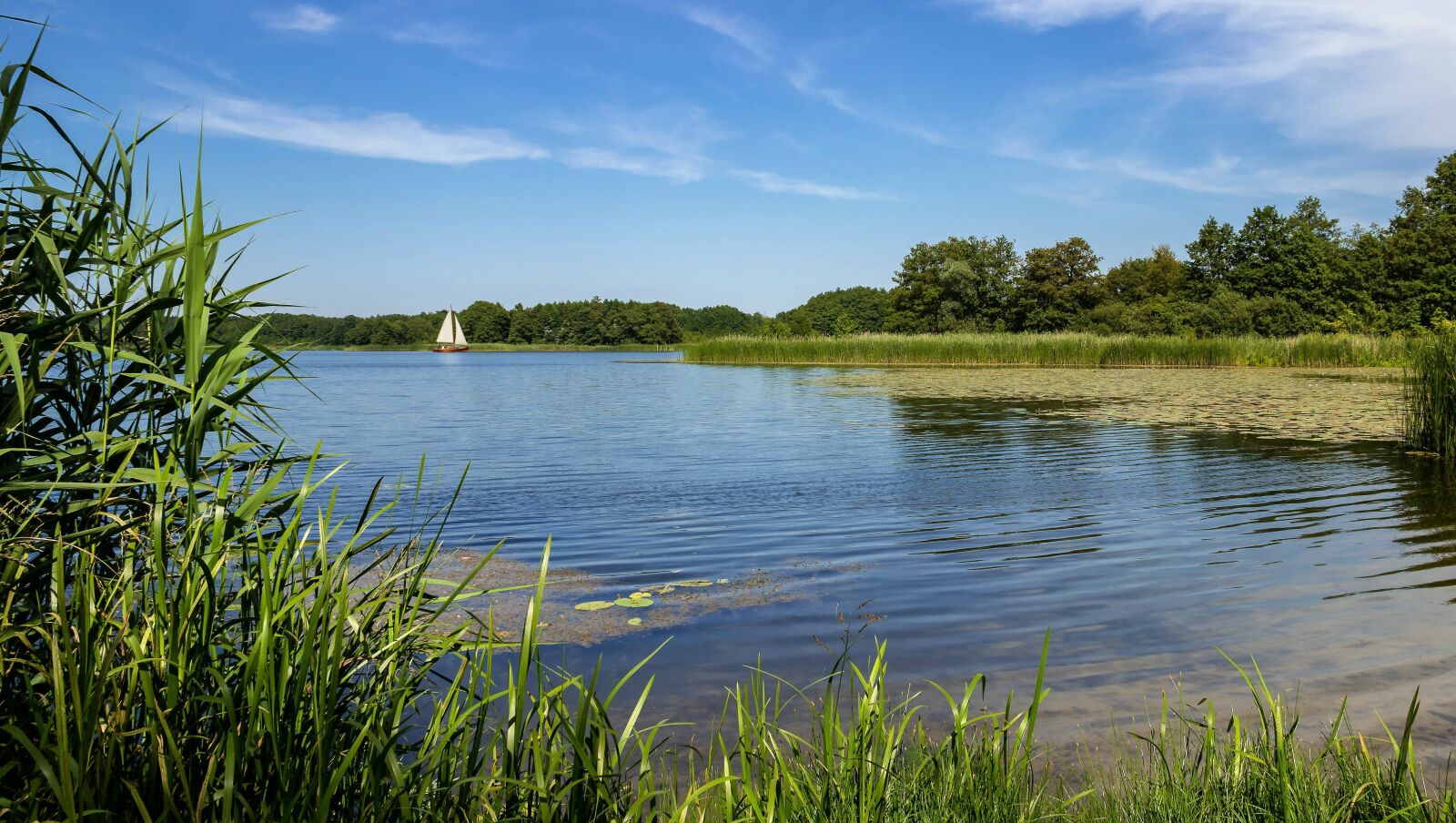 Canon EF-S 18-135mm F3.5-5.6 IS sample photo. Lake, water, beach photography