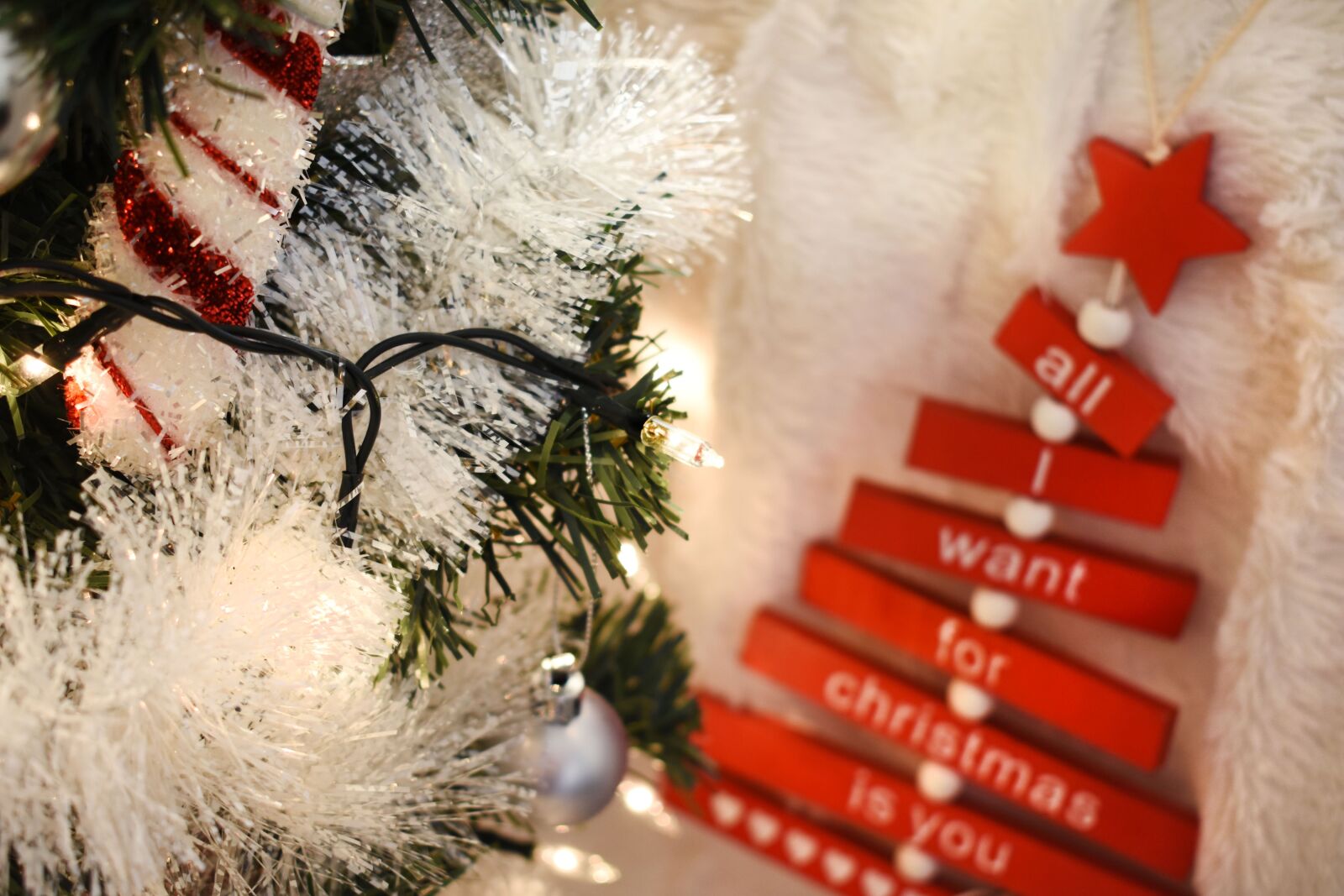 Nikon D3400 sample photo. Christmas, joy, winter time photography