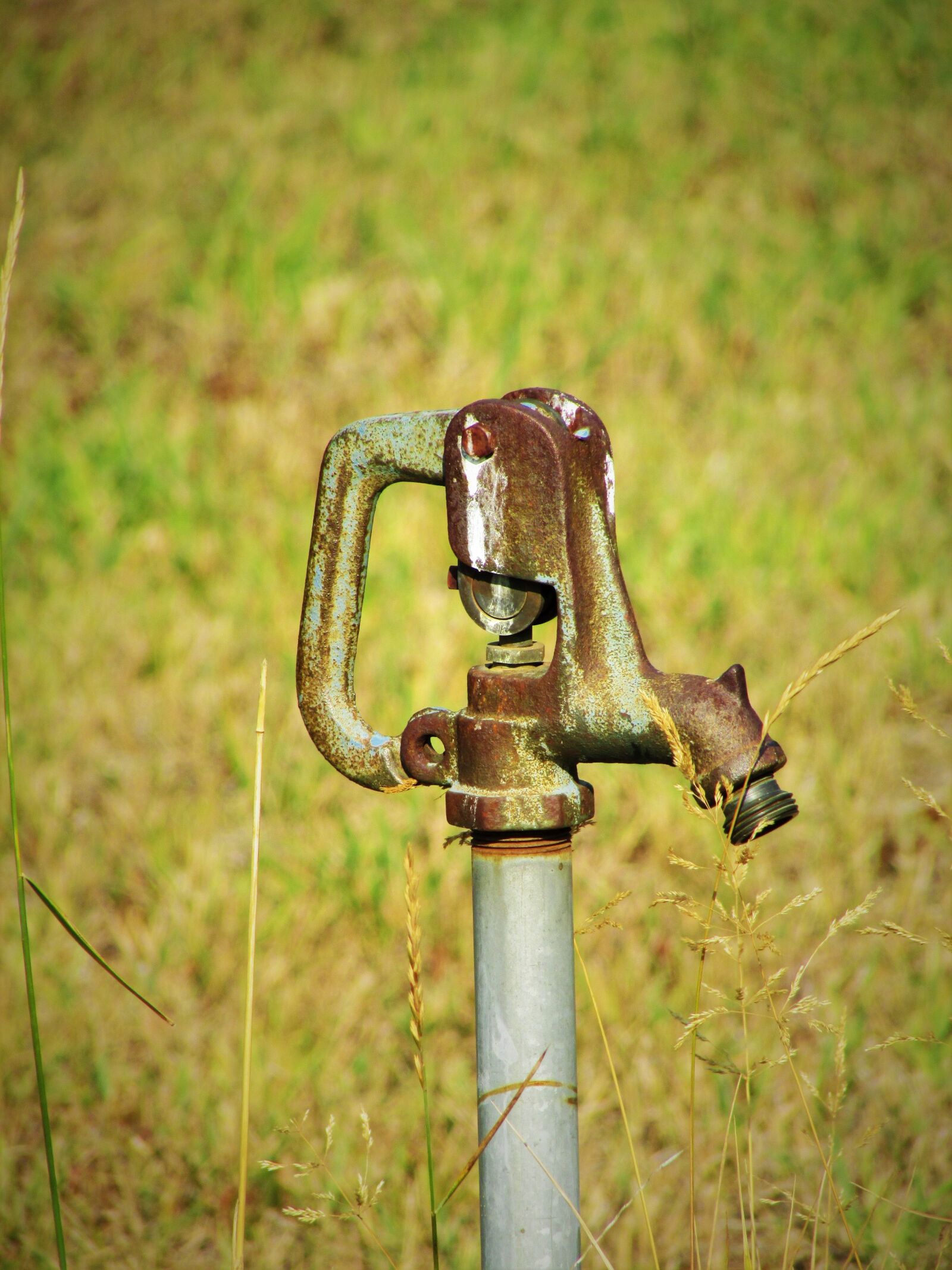 Canon PowerShot SX500 IS sample photo. Old water faucet, faucet photography