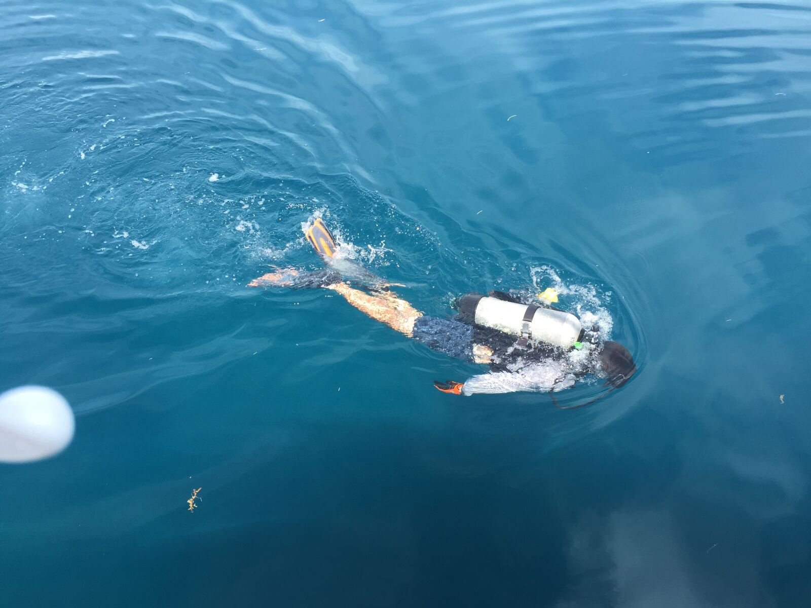 Apple iPhone 6 sample photo. Scuba, diving photography