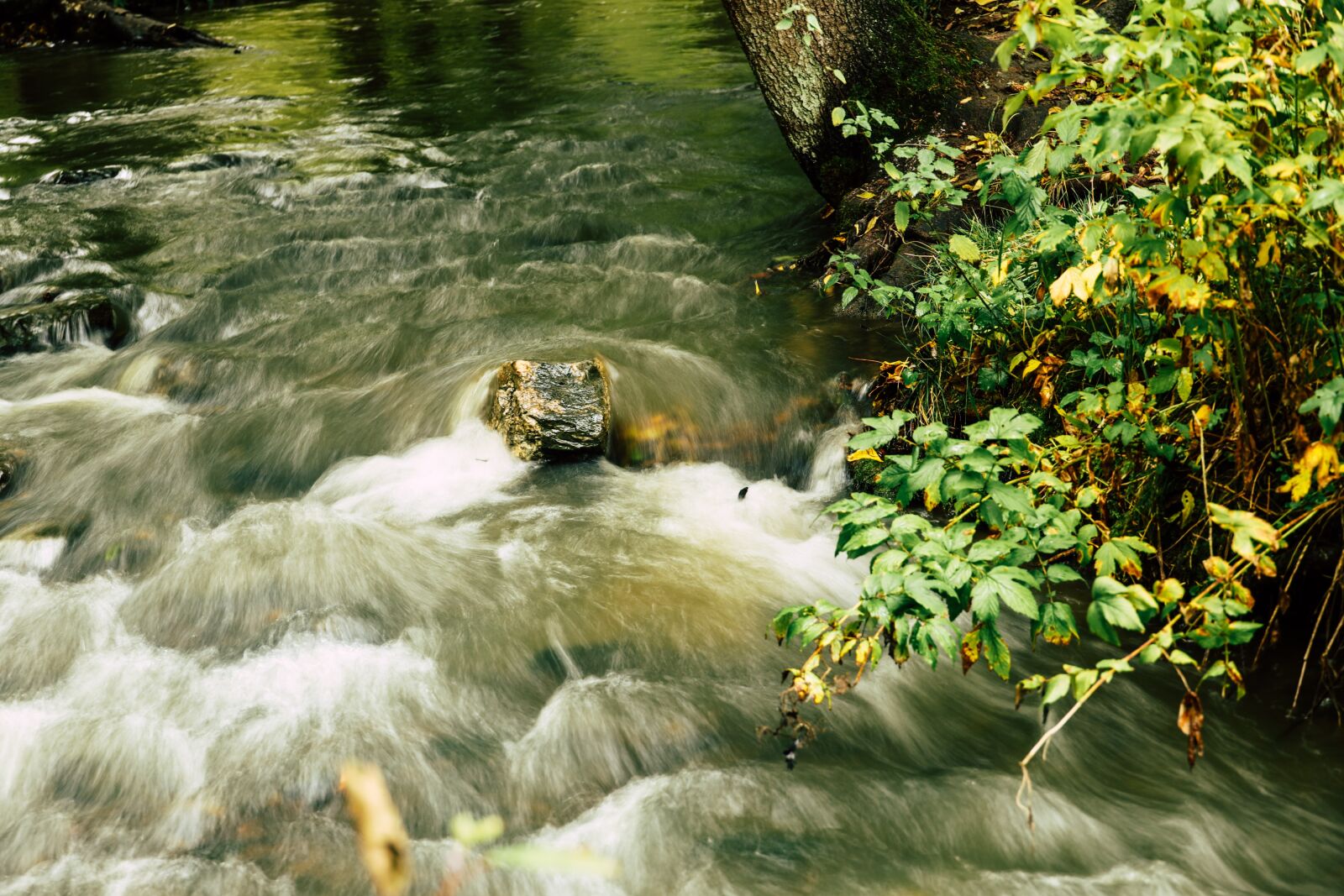 Canon RF 24-240mm F4-6.3 IS USM sample photo. River, stream, rapids photography