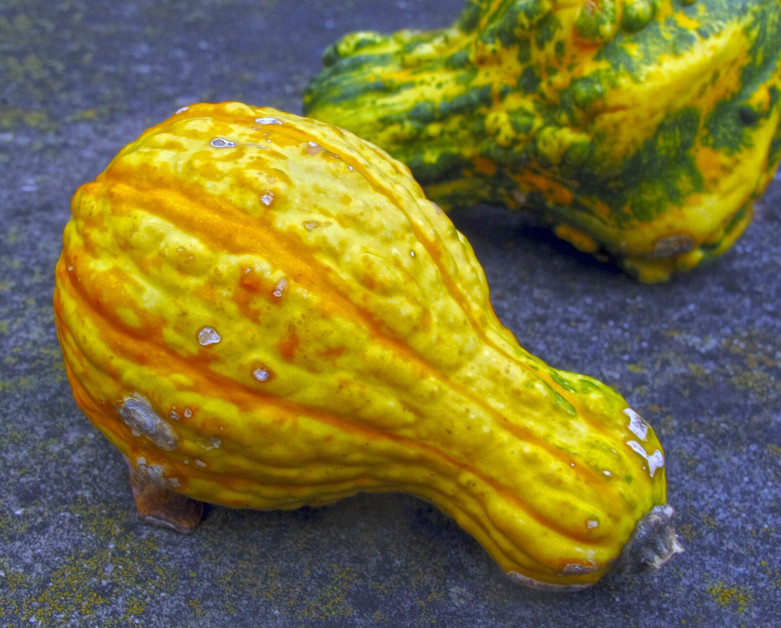 Canon PowerShot G12 sample photo. Pumpkin, bottle gourd, autumn photography