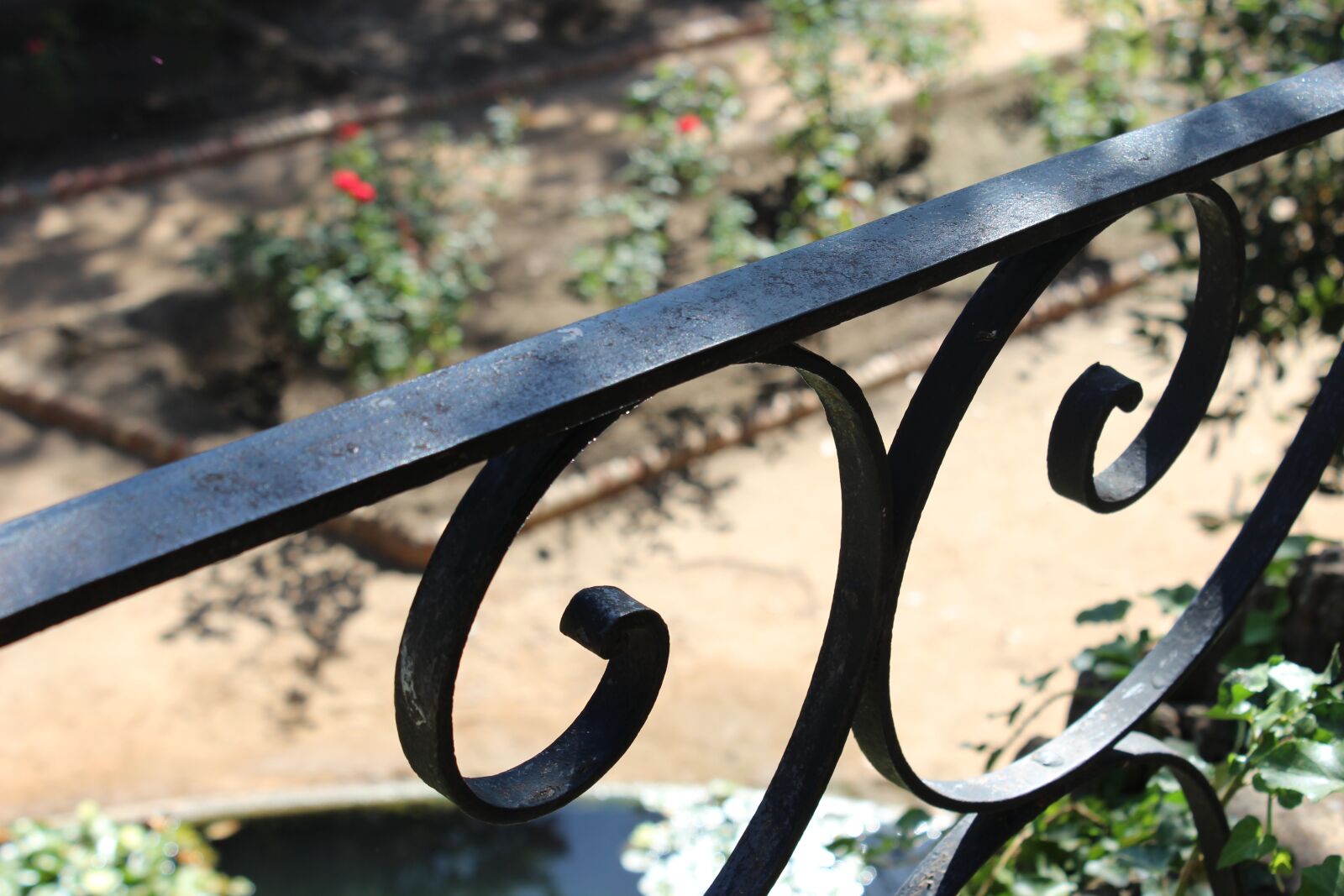 Canon EOS 600D (Rebel EOS T3i / EOS Kiss X5) sample photo. Nature, wood, railing photography