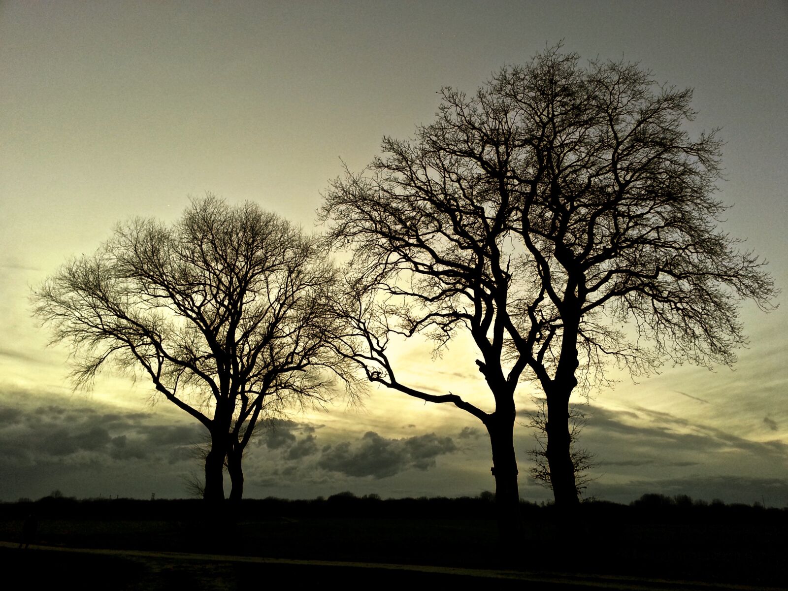 Samsung Galaxy S3 sample photo. Trees, landscape, nature photography