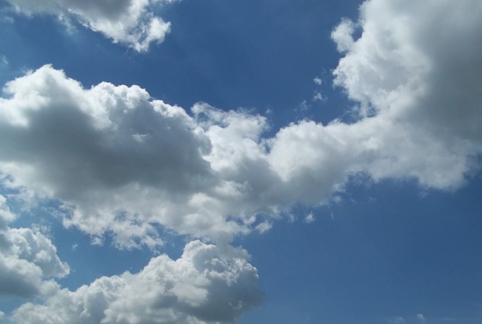 Kodak EASYSHARE C183 DIGITAL CAMERA sample photo. Sky, blue, bright photography