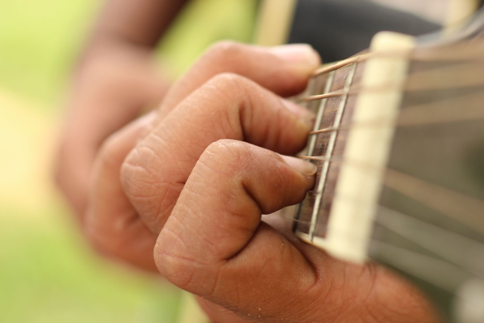 Canon EOS 1300D (EOS Rebel T6 / EOS Kiss X80) + Canon EF 50mm F1.8 STM sample photo. Guitar, nature, outdoor photography
