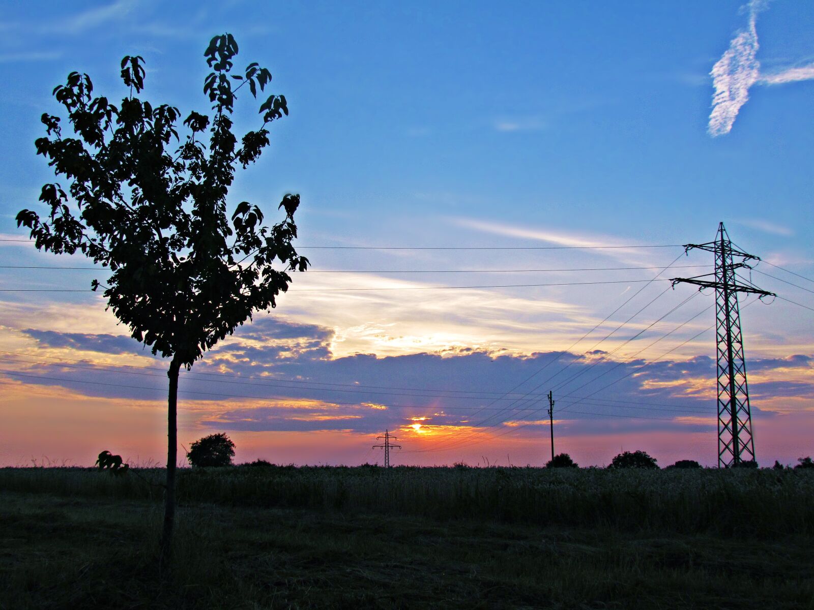 Canon PowerShot SX30 IS sample photo. Sky, west, tree photography