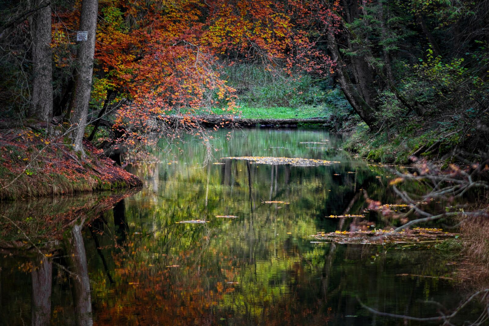 Panasonic Lumix DC-G90 (Lumix DC-G91) sample photo. Autumn, nature, landscape photography